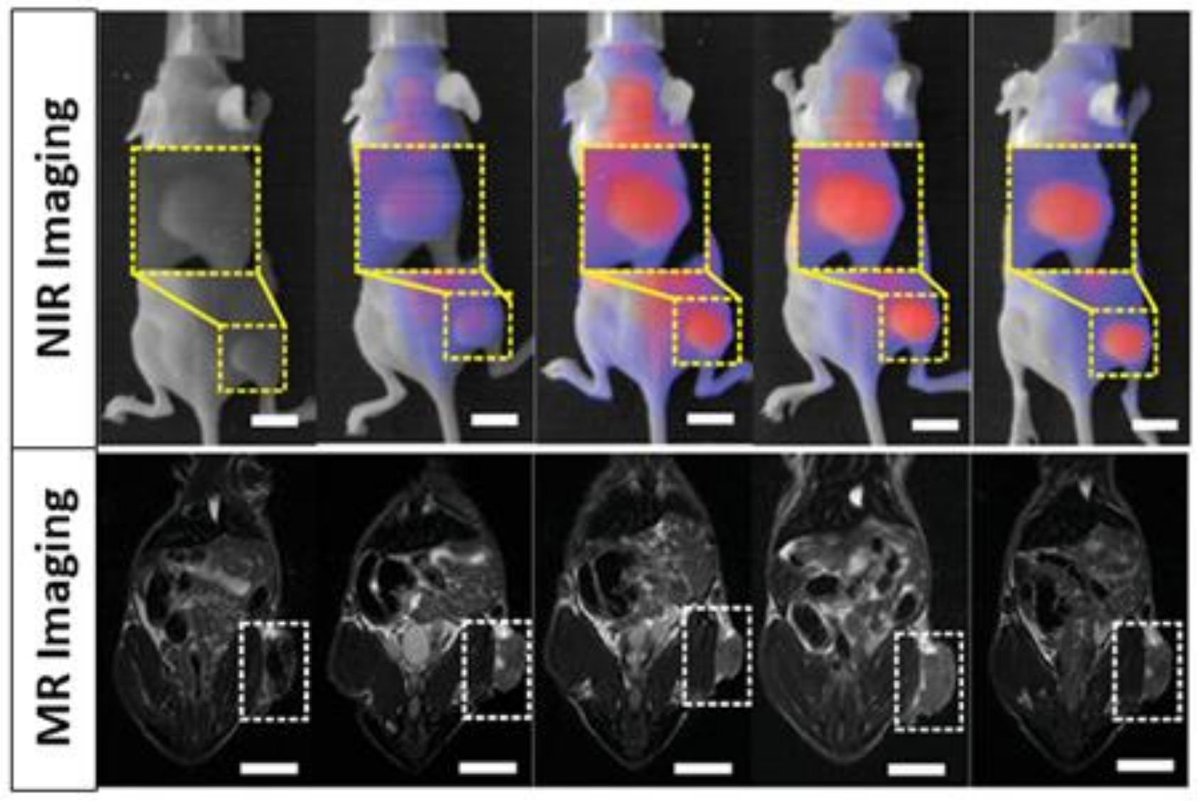 Polymers 13 02989 g010