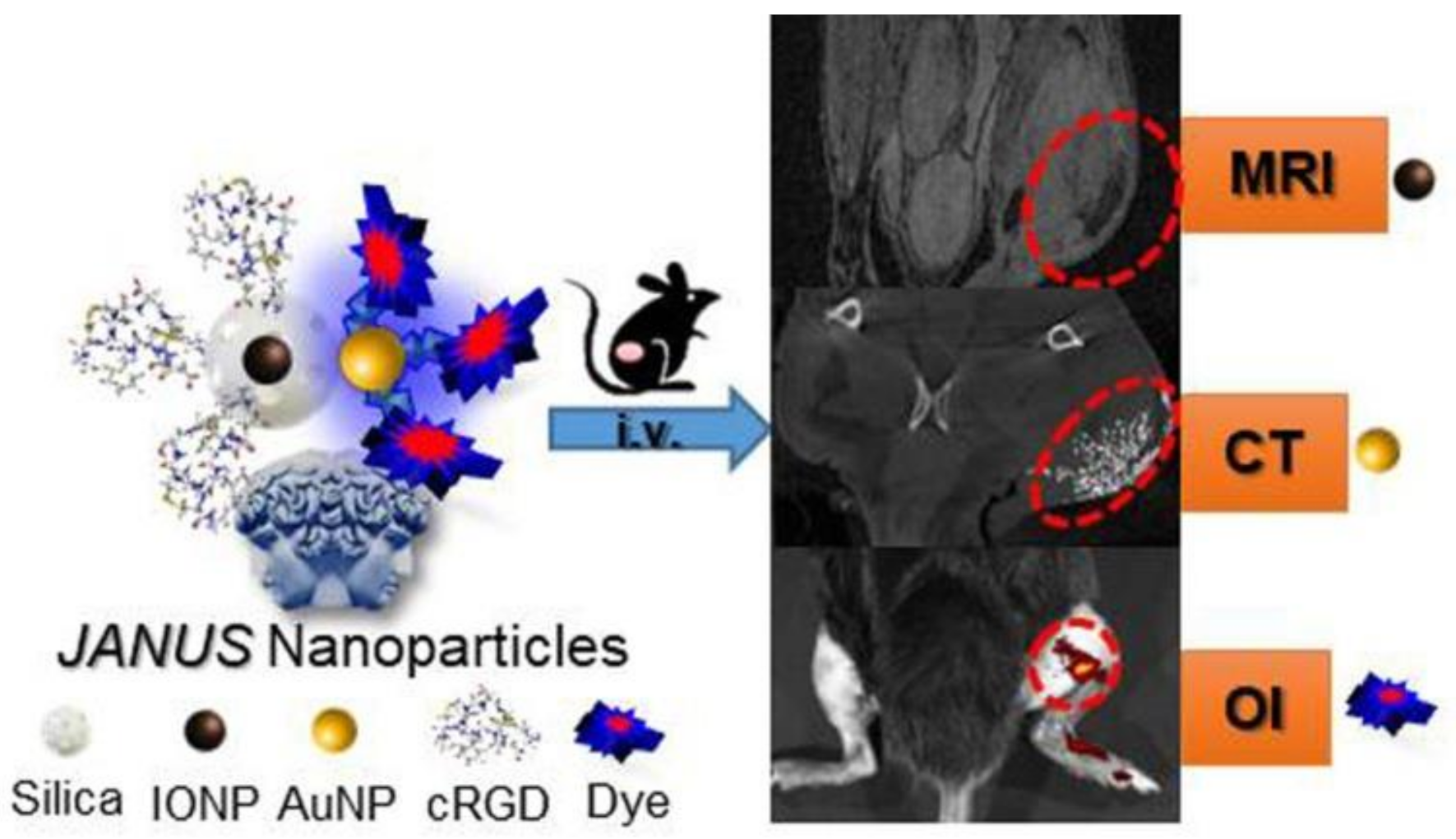Polymers 13 02989 g011