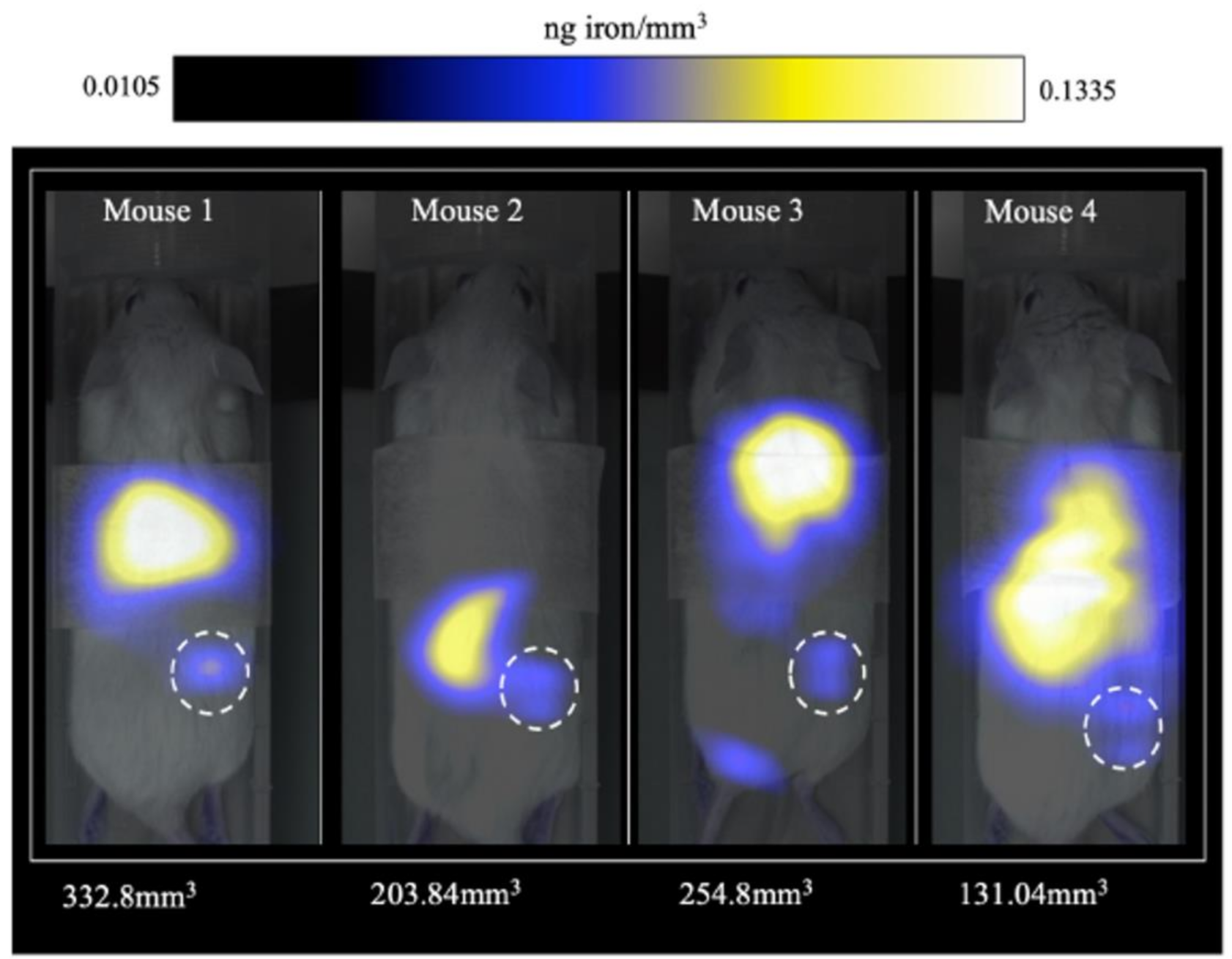 Polymers 13 02989 g017