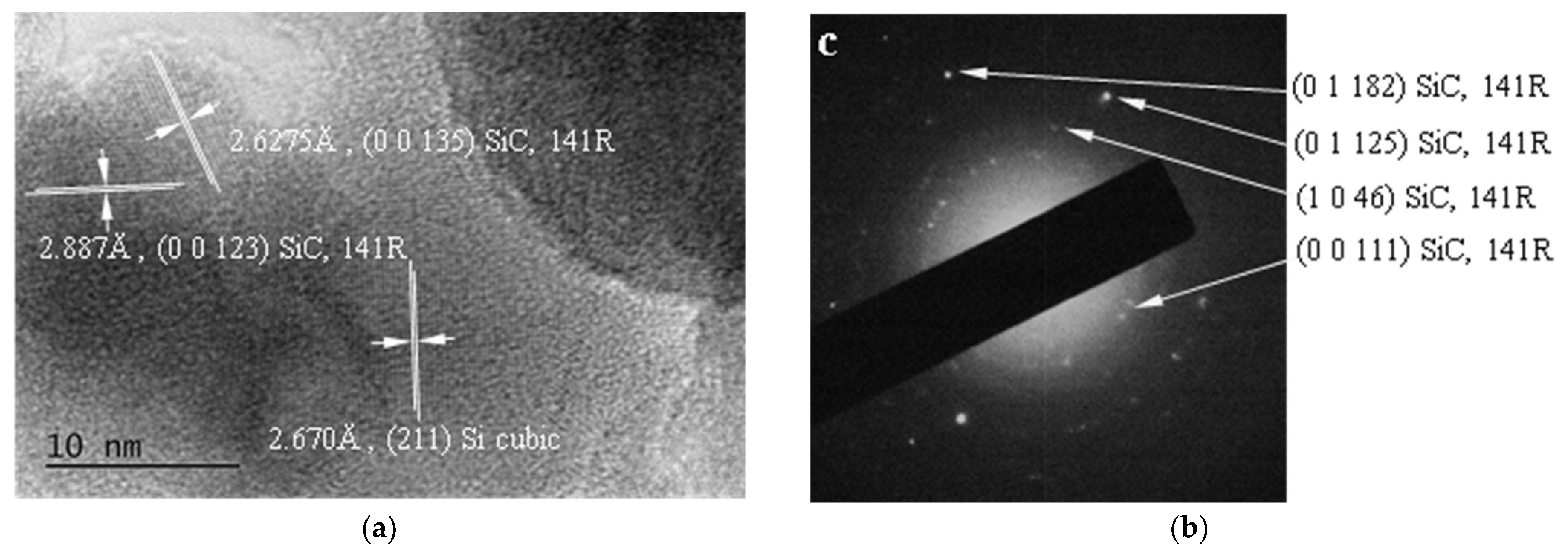Polymers 13 03004 g003