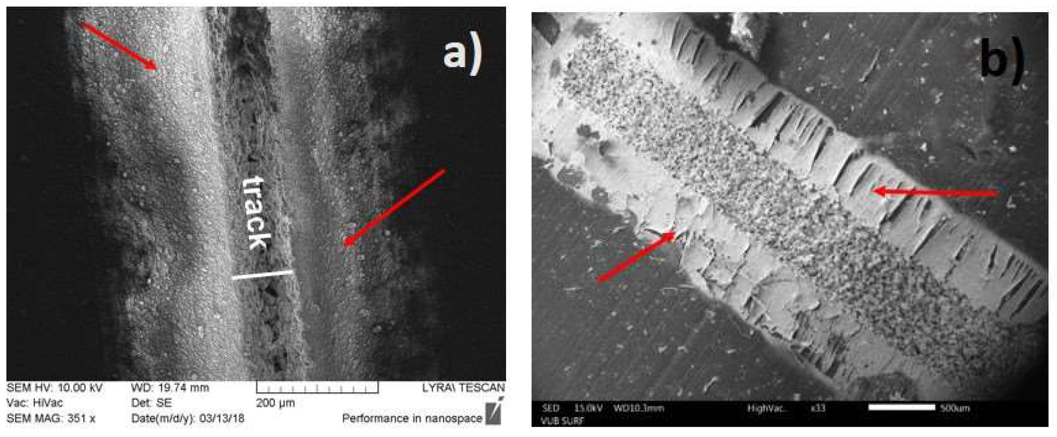 Polymers 13 03004 g004