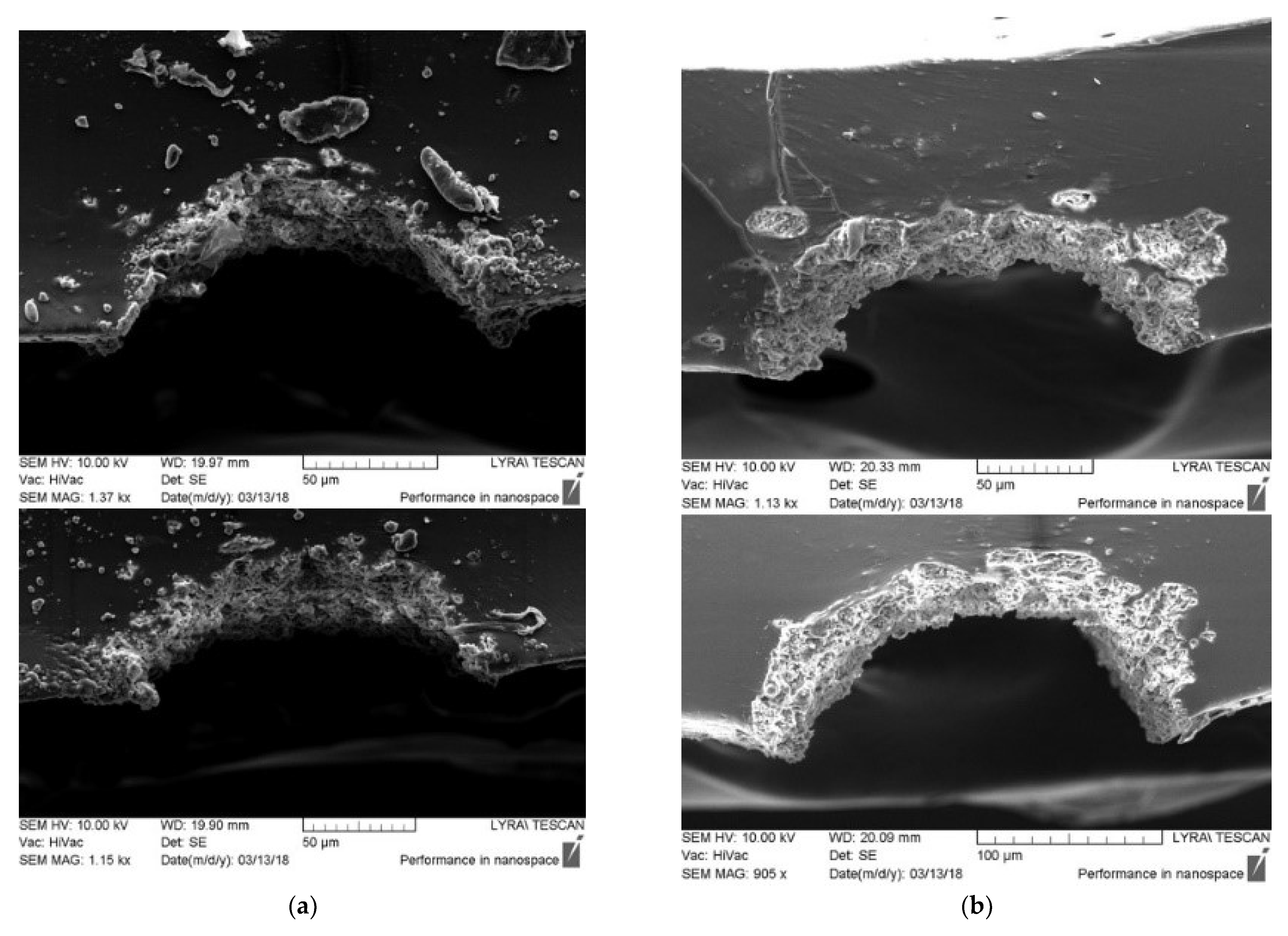 Polymers 13 03004 g006