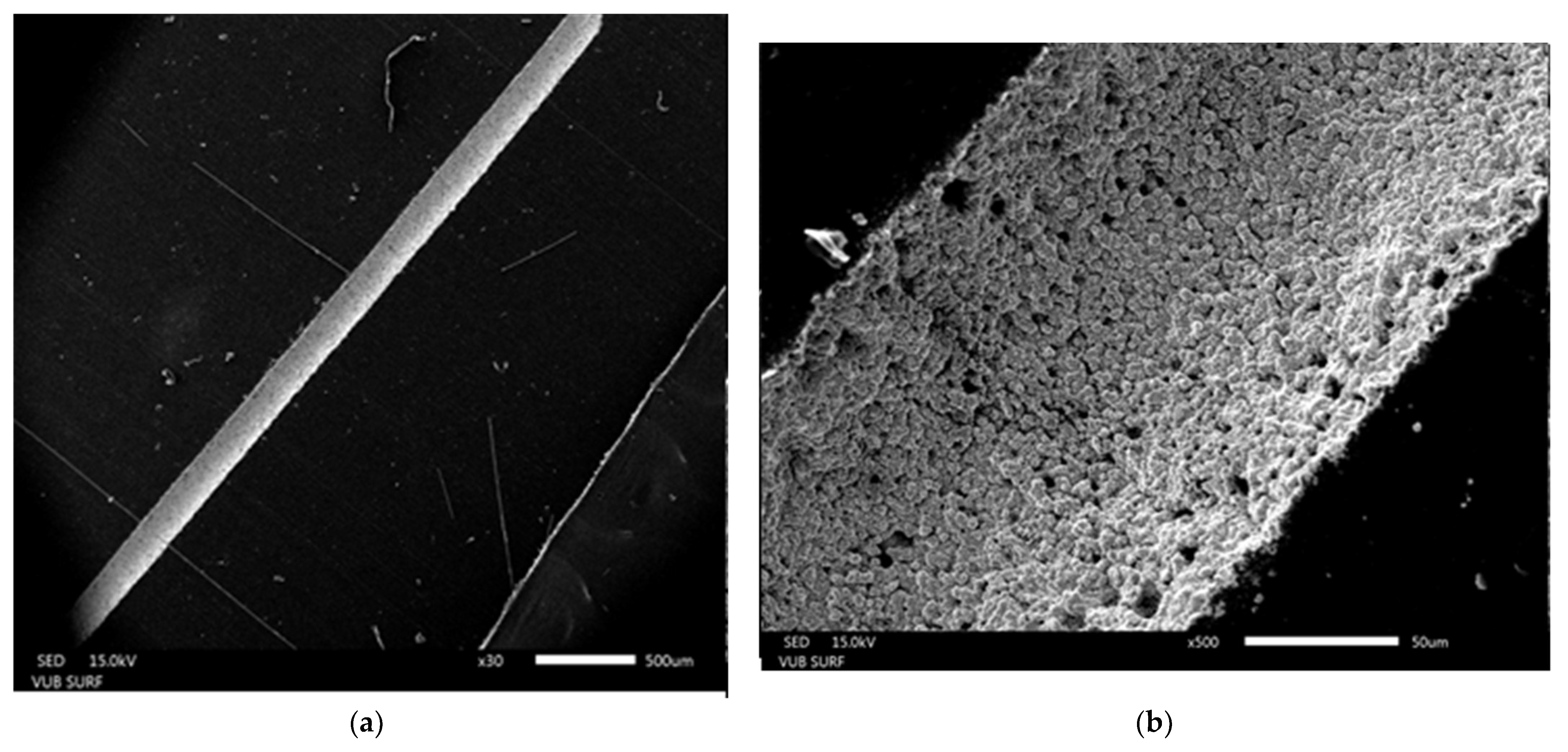 Polymers 13 03004 g010a