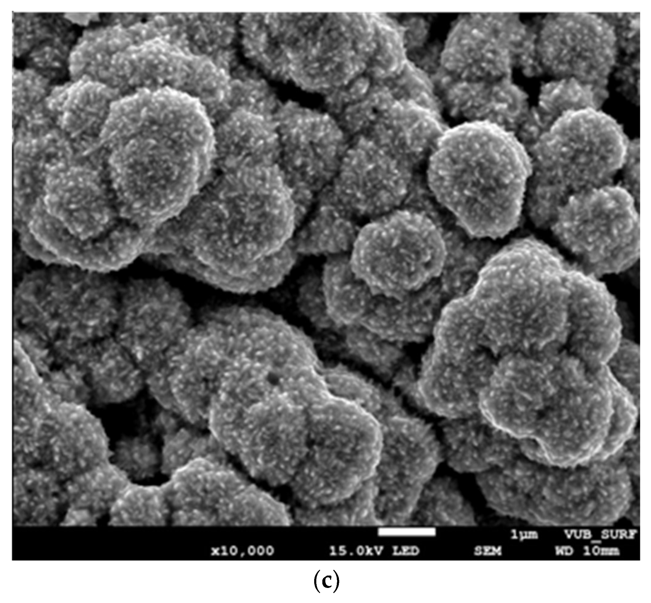 Polymers 13 03004 g010b