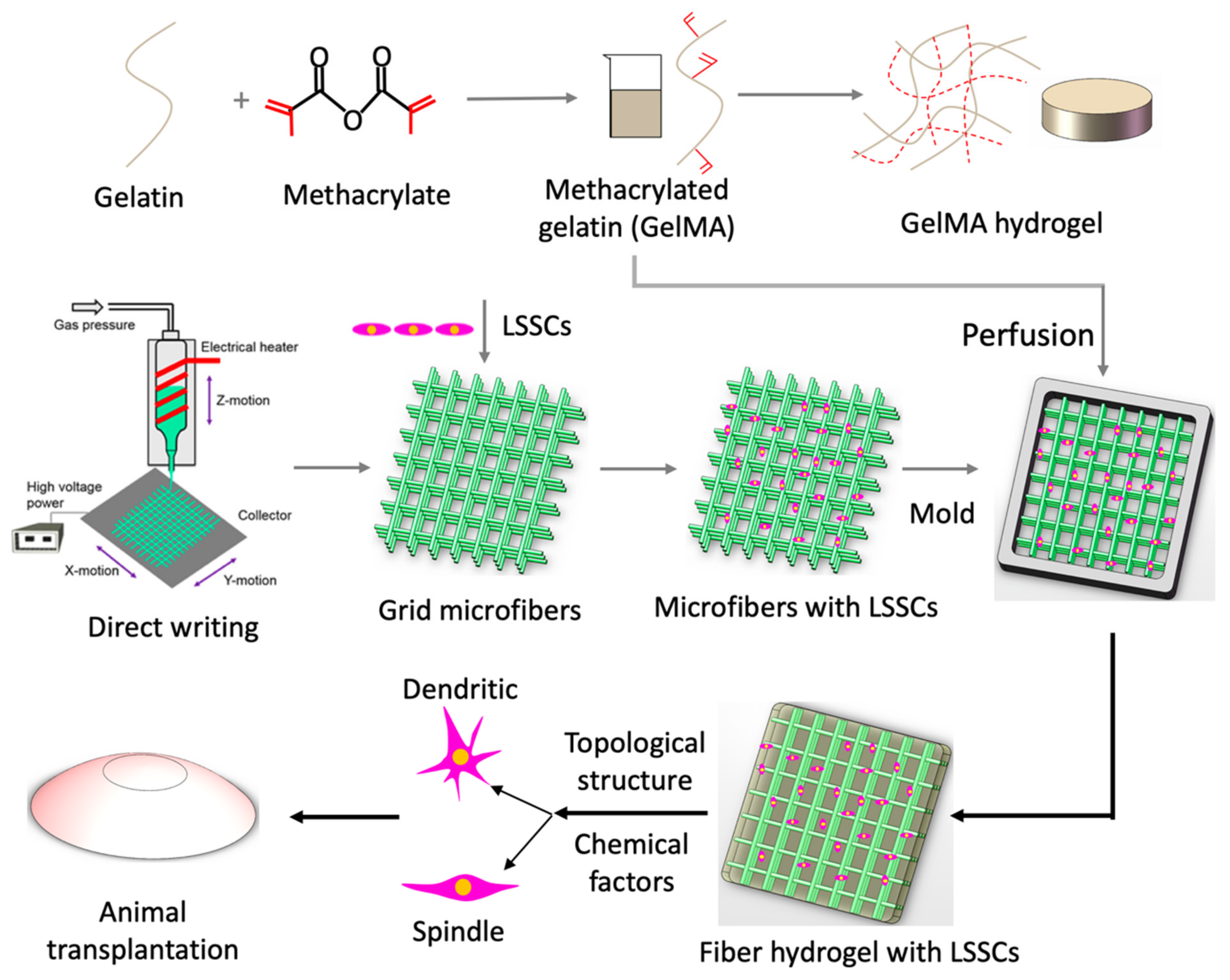 Polymers 13 03015 g008