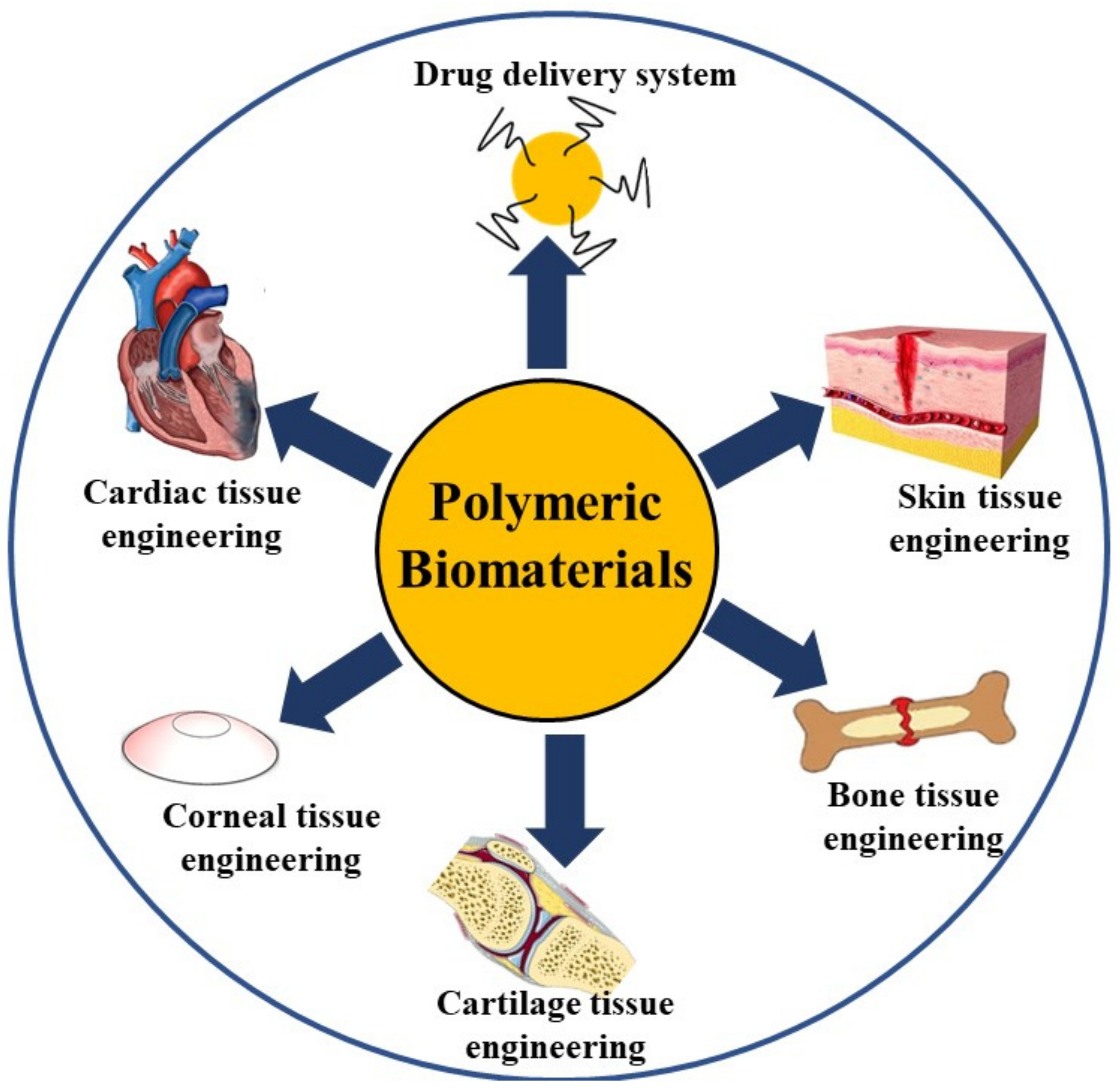 Polymers | Free Full-Text | A Critical Review on Polymeric Biomaterials for  Biomedical Applications
