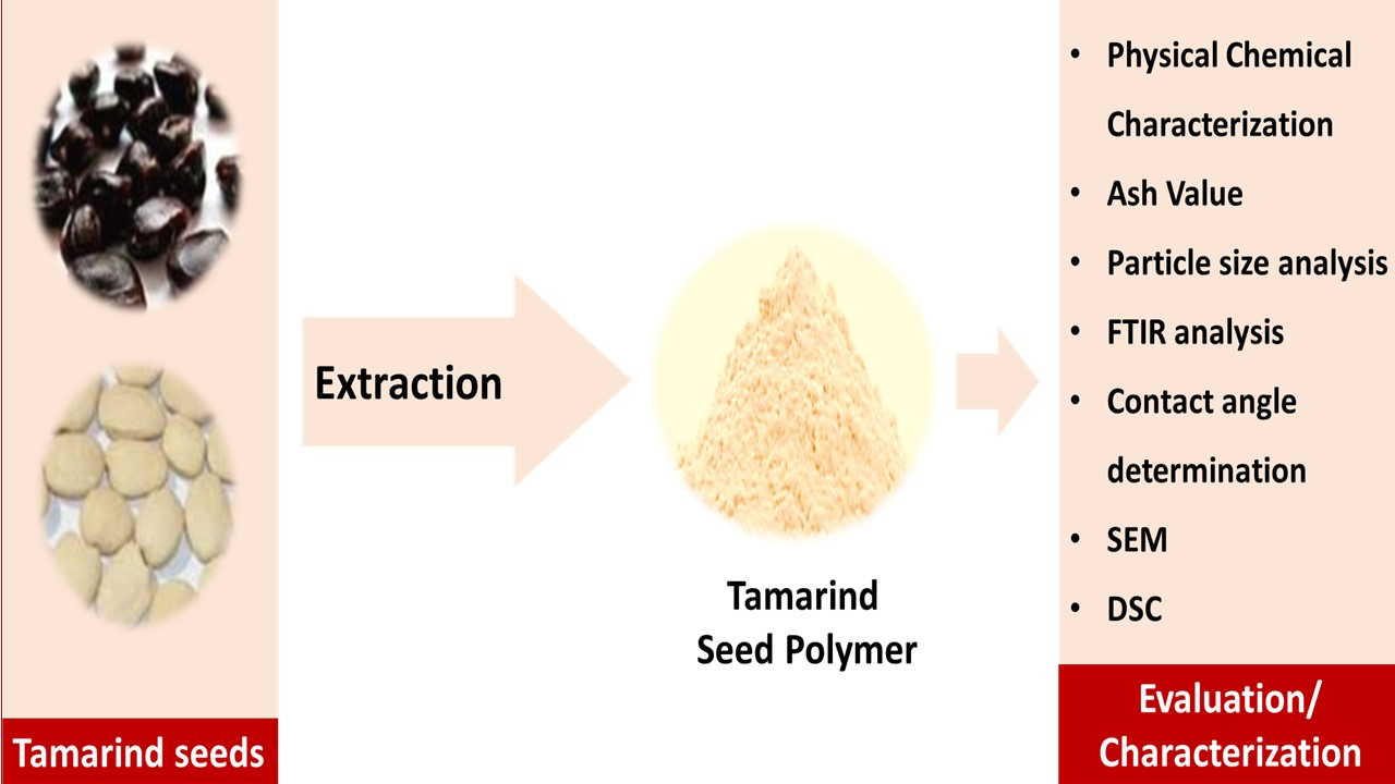 Polymers  Free Full-Text  Evaluation and Characterization of 