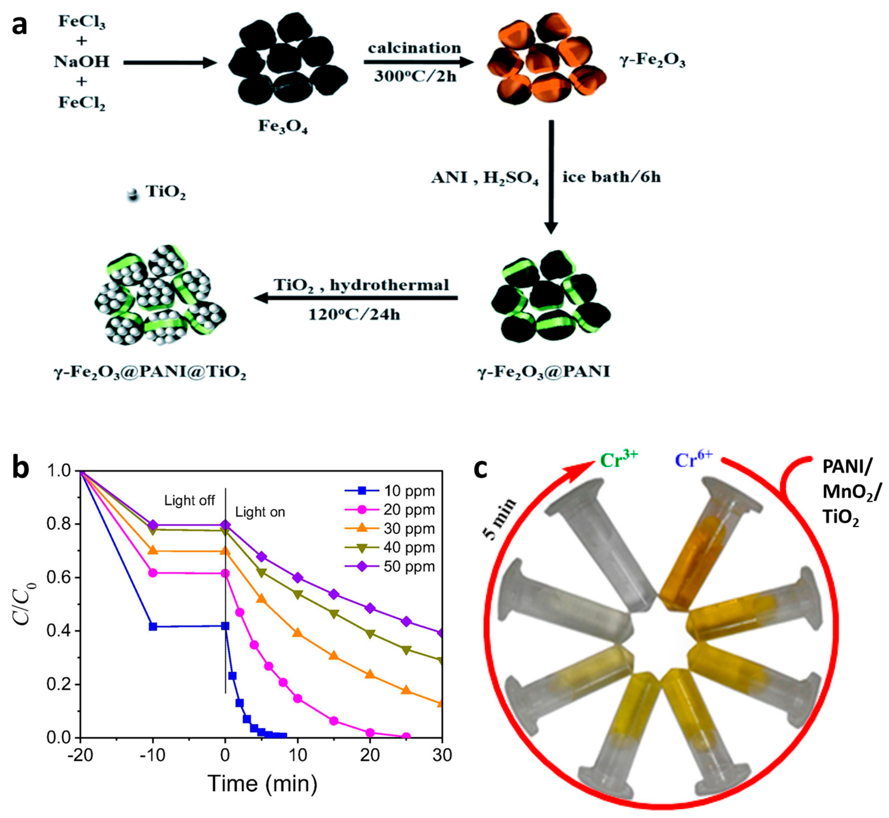 Polymers 13 03031 g008