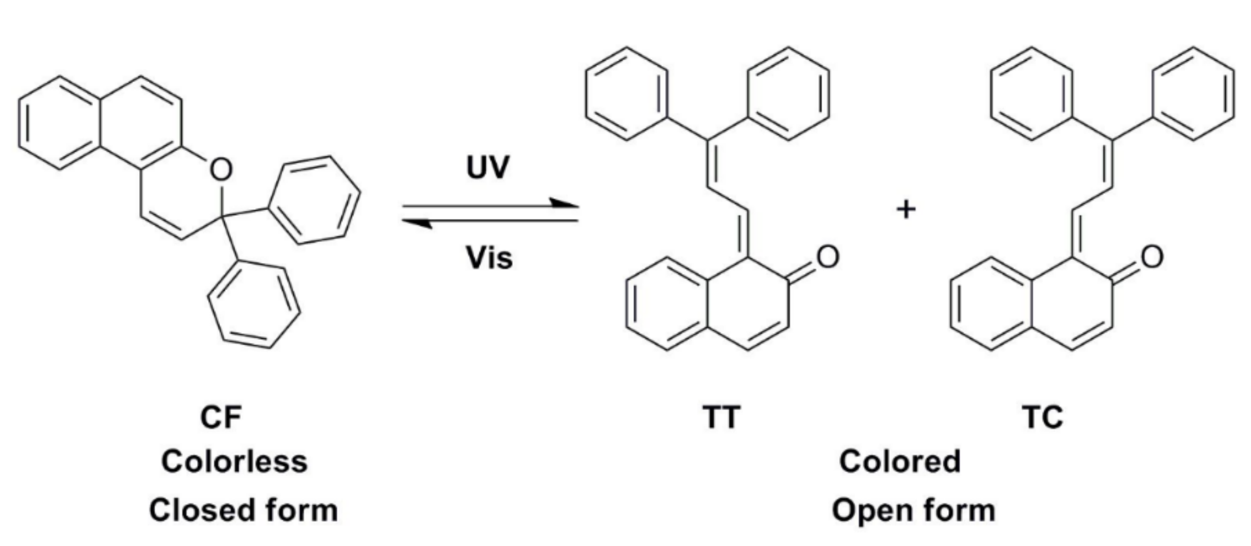 Polymers 13 03049 g009