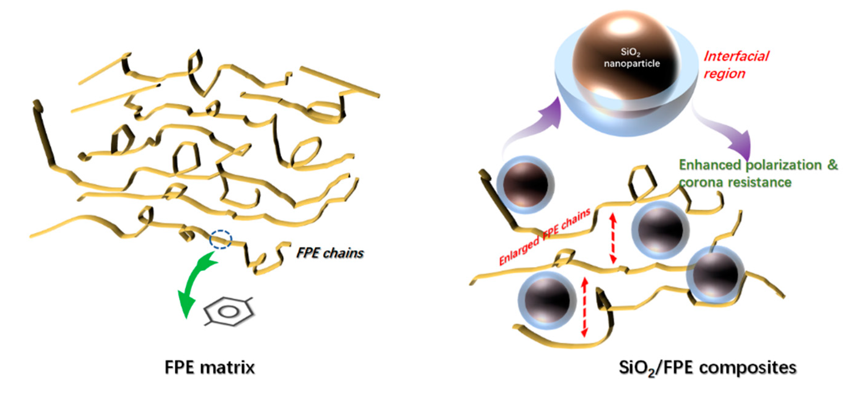 Polymers 13 03053 g006