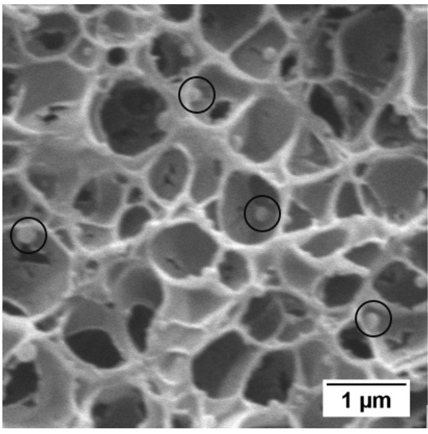 Polymers 13 03055 g006