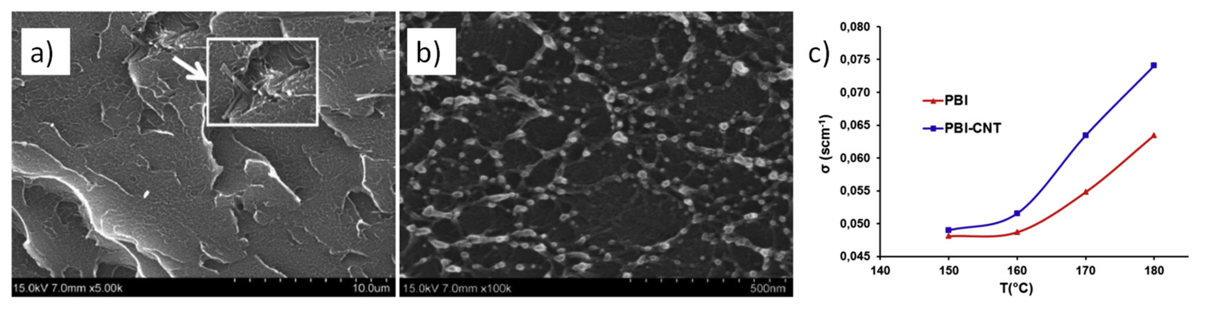 Polymers 13 03064 g006