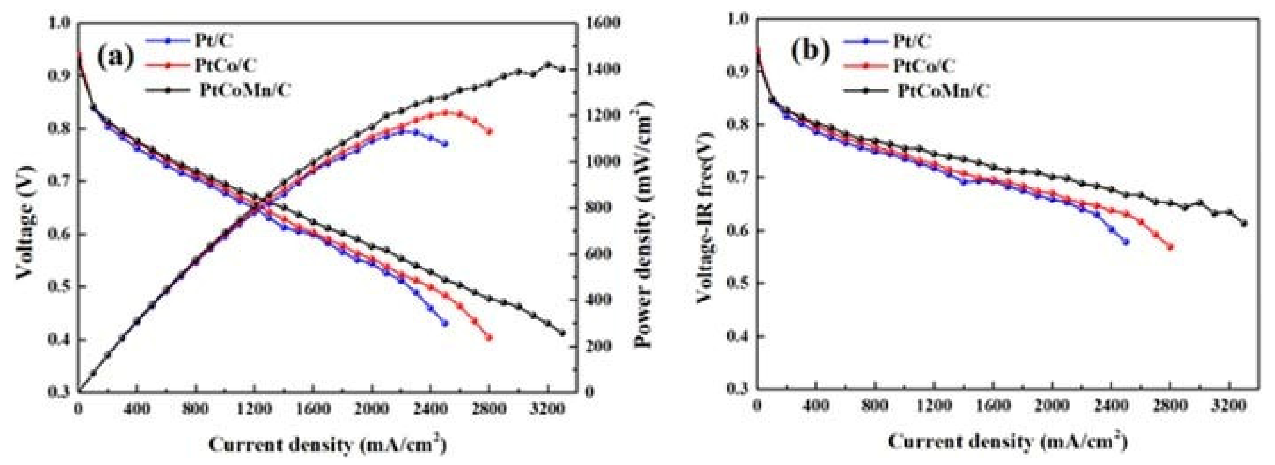 Polymers 13 03064 g024
