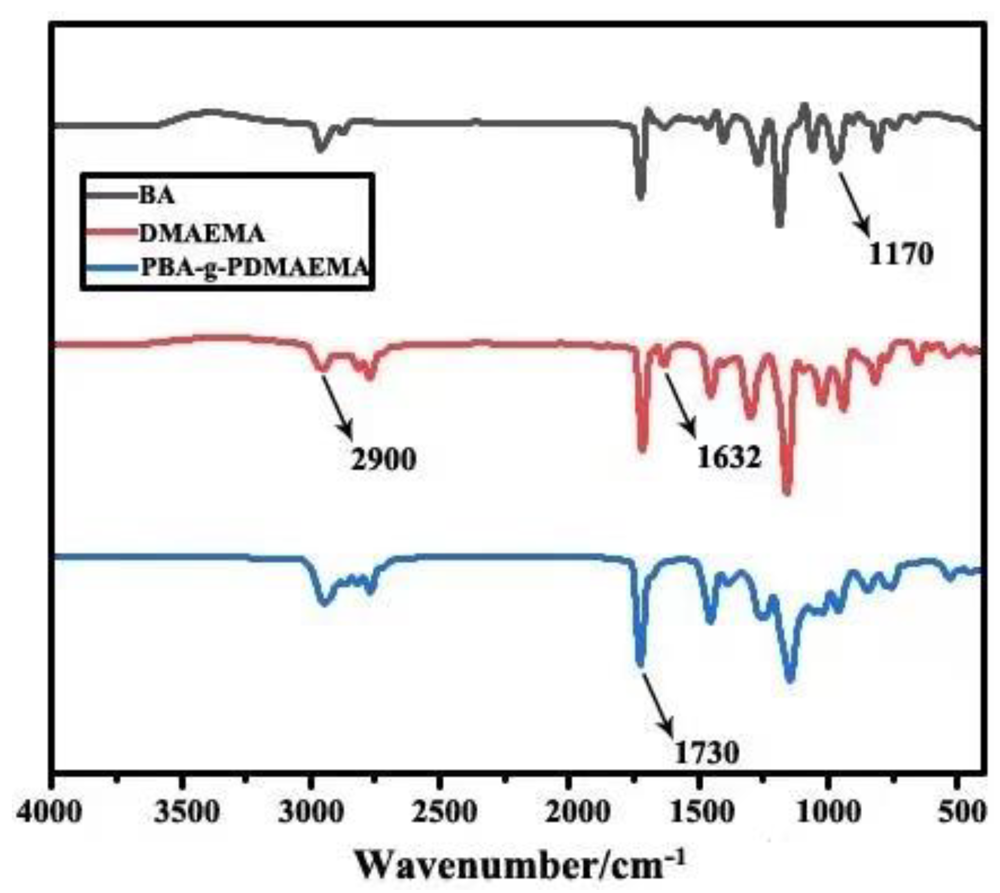 Polymers 13 03069 g002