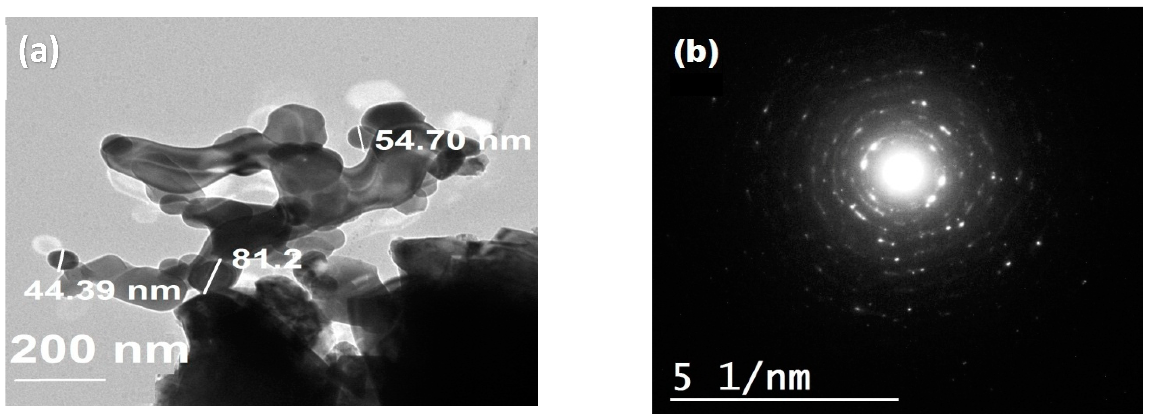 Polymers 13 03077 g007