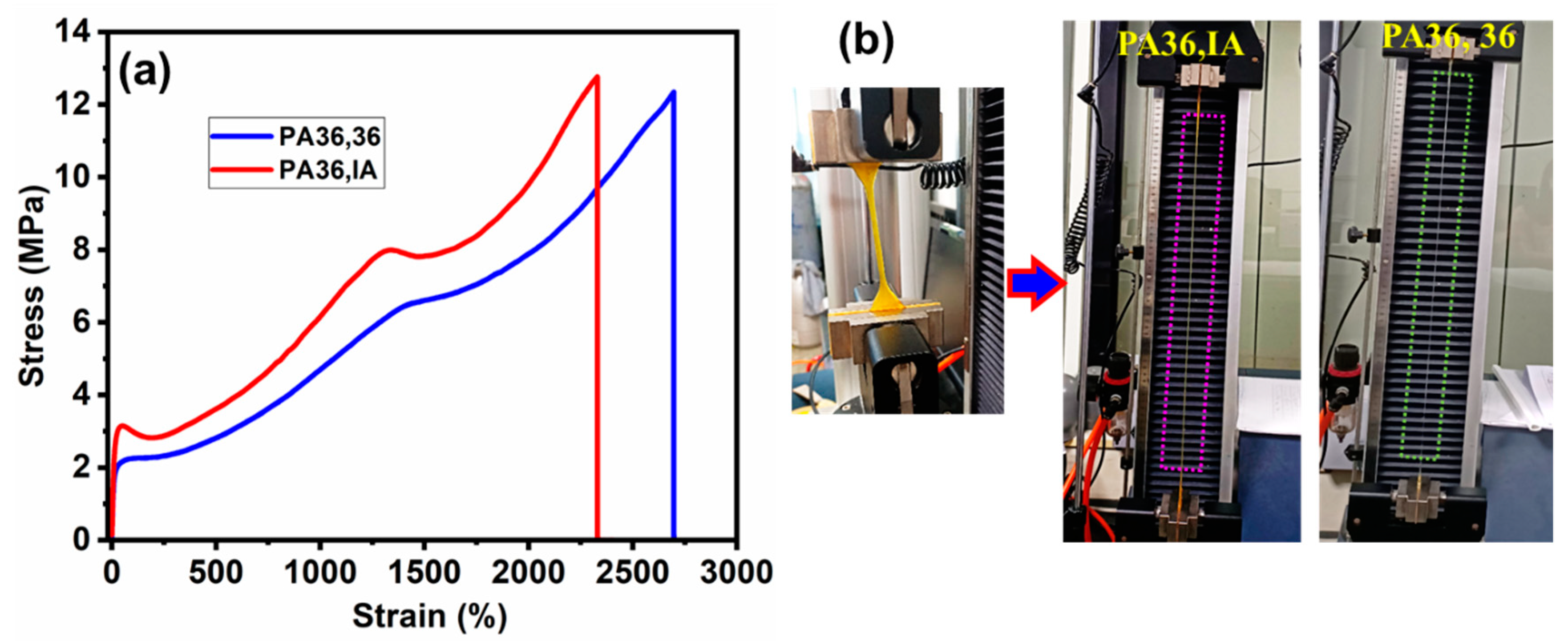 Polymers 13 03089 g006