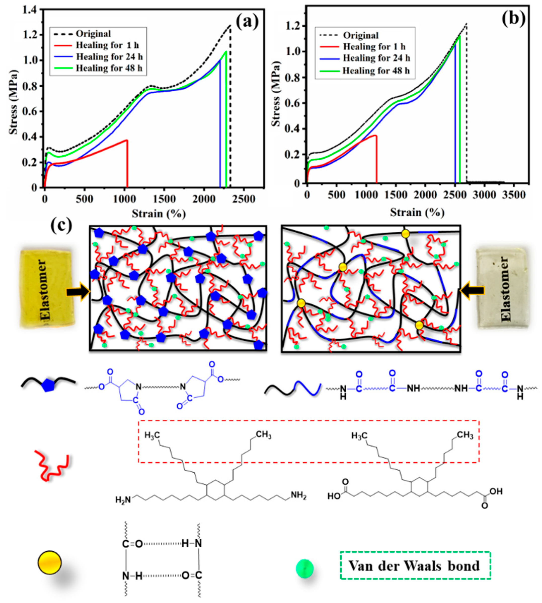 Polymers 13 03089 g008