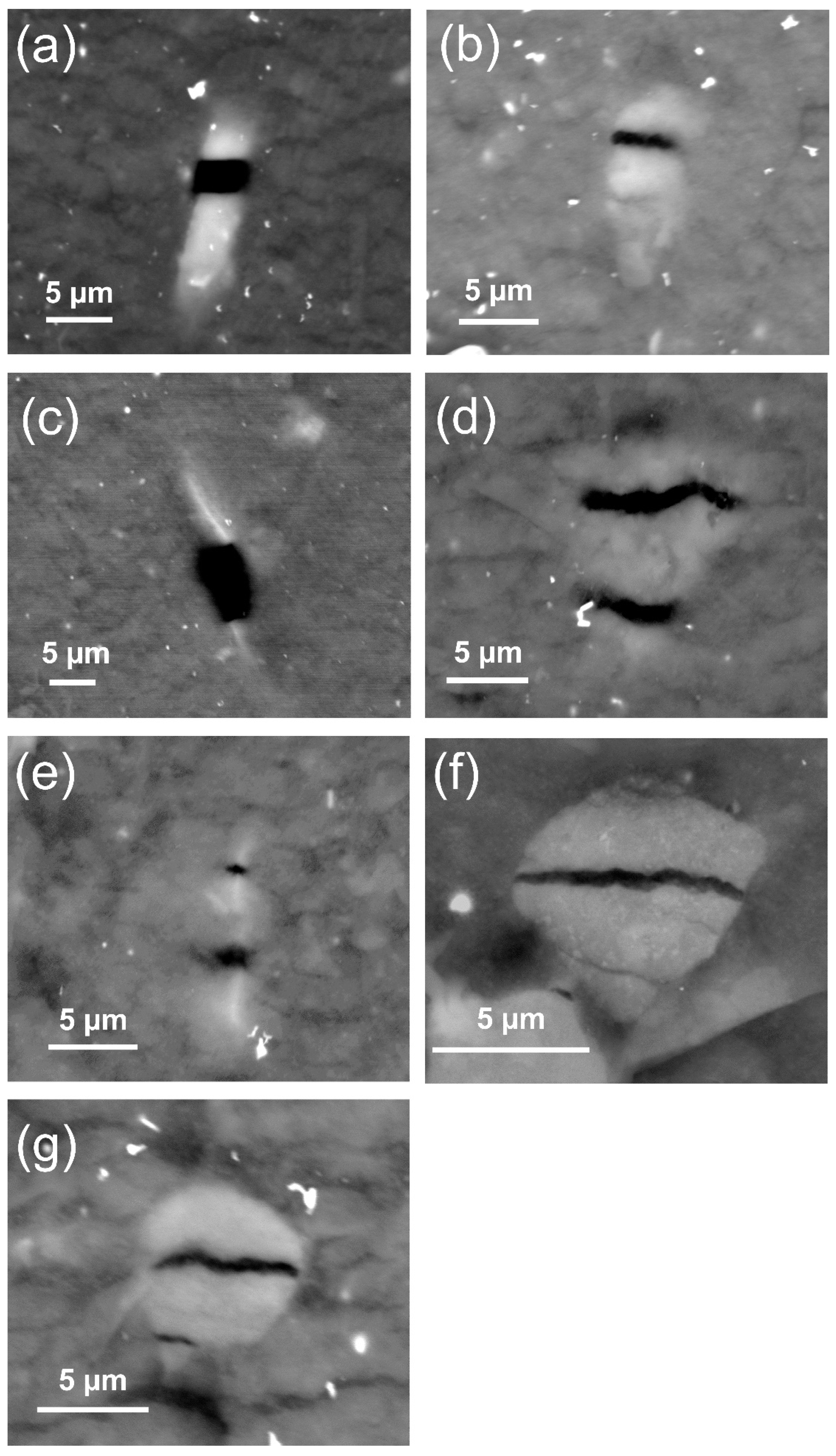 Polymers 13 03094 g008 Polymers 13 03094 g008