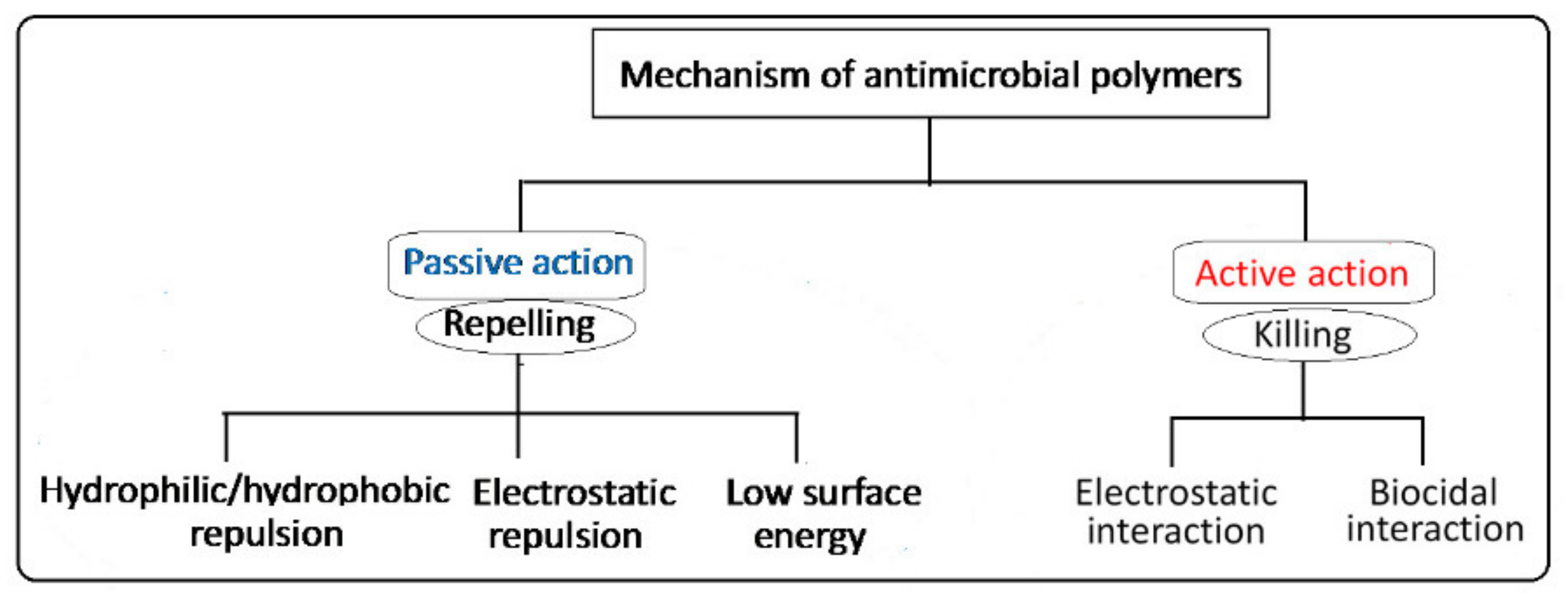 Polymers 13 03102 g003