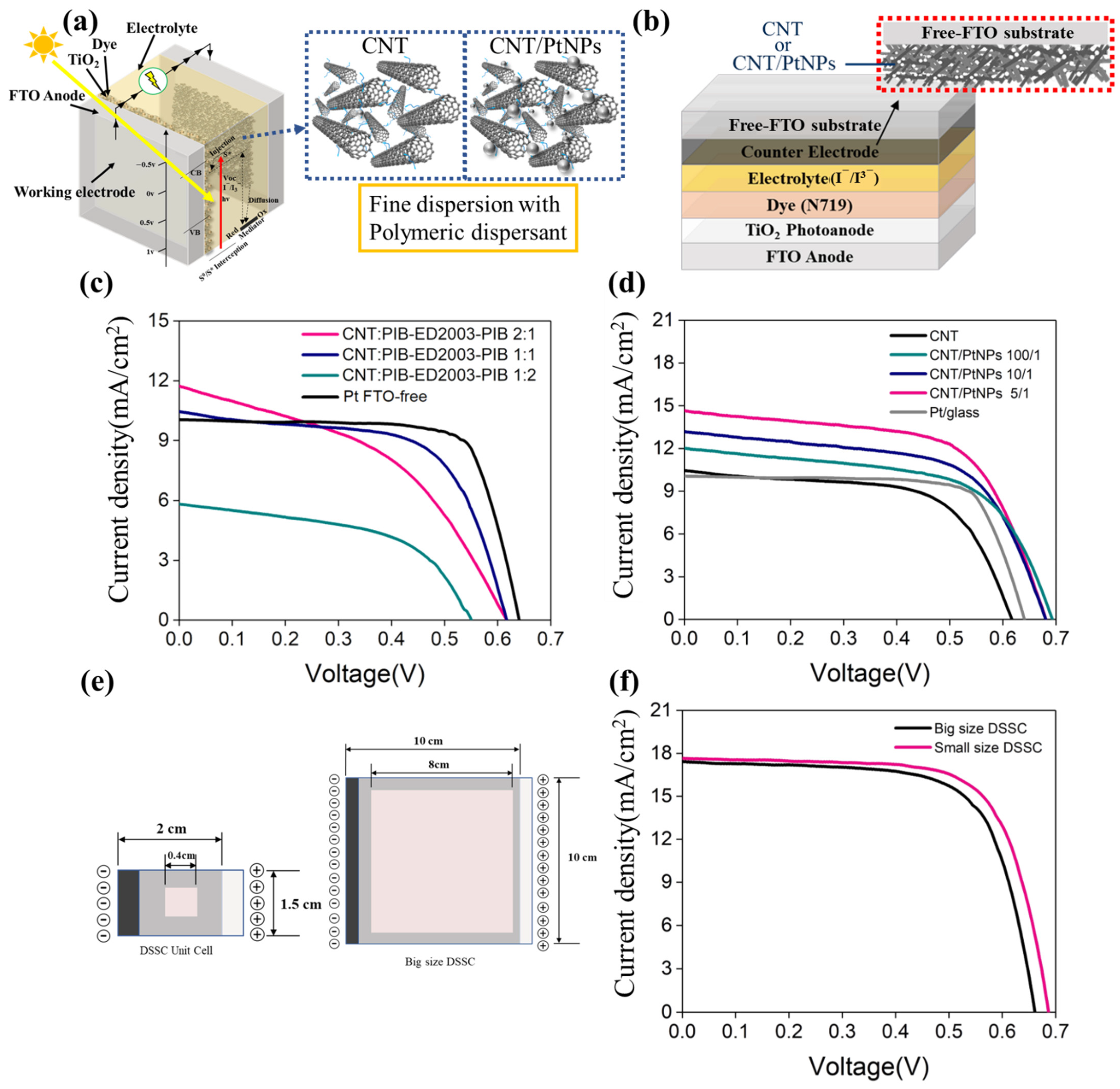Polymers 13 03103 g004