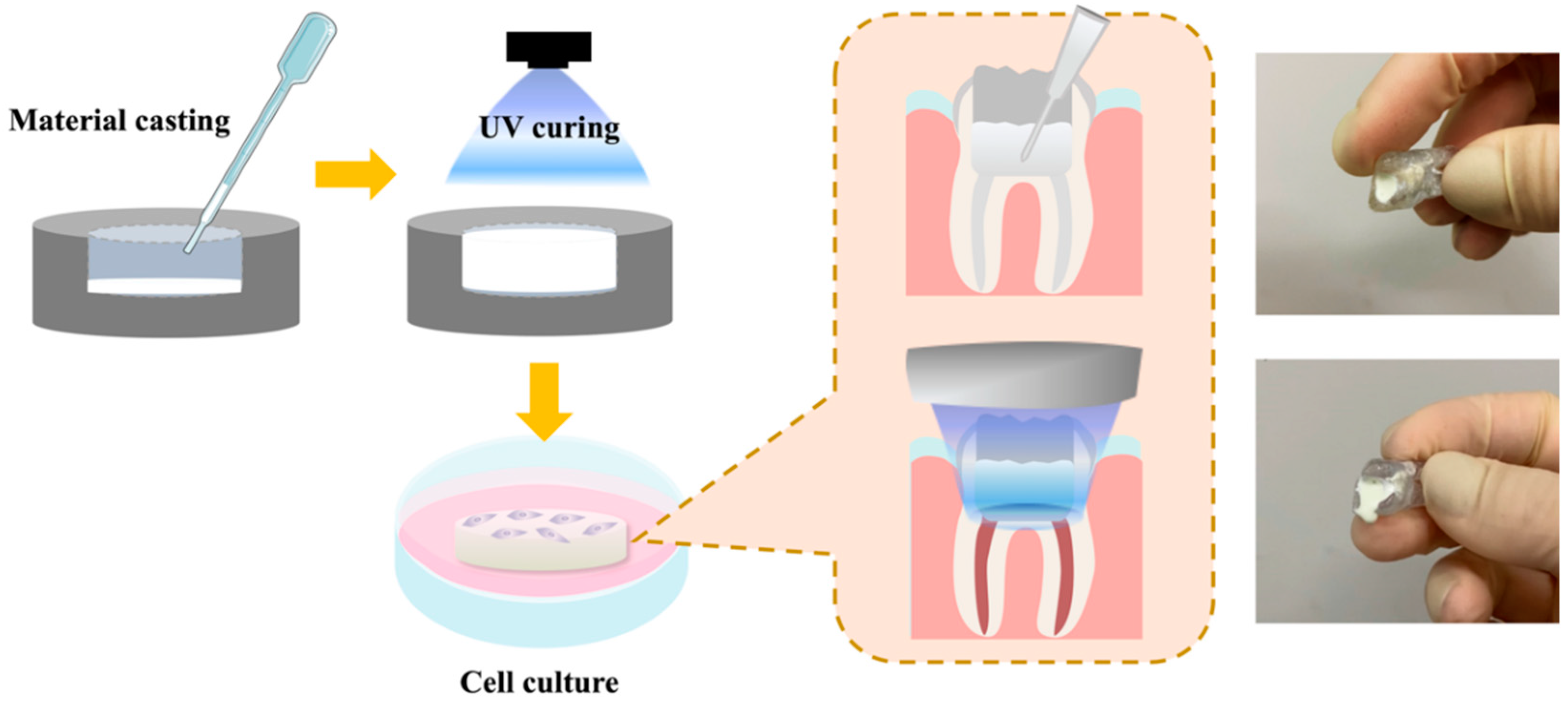 Polymers 13 03107 g001