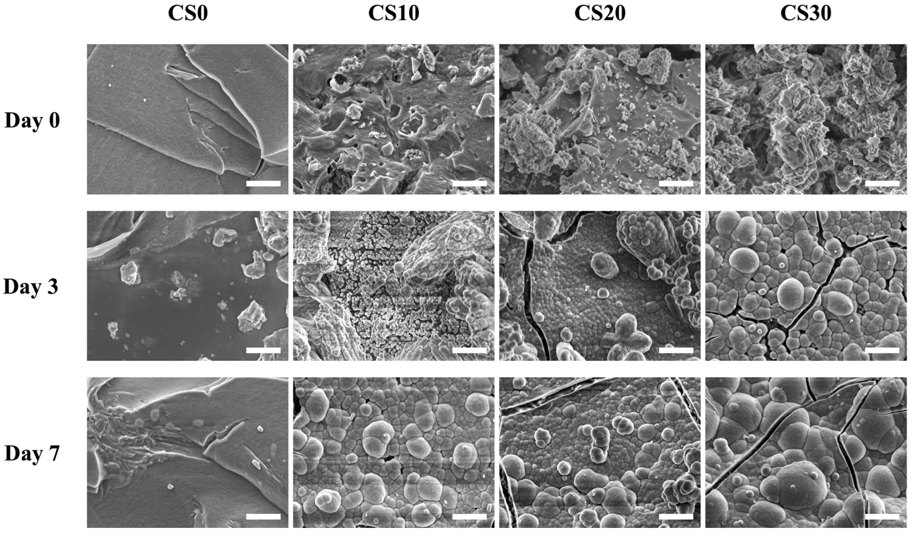 Polymers 13 03107 g006