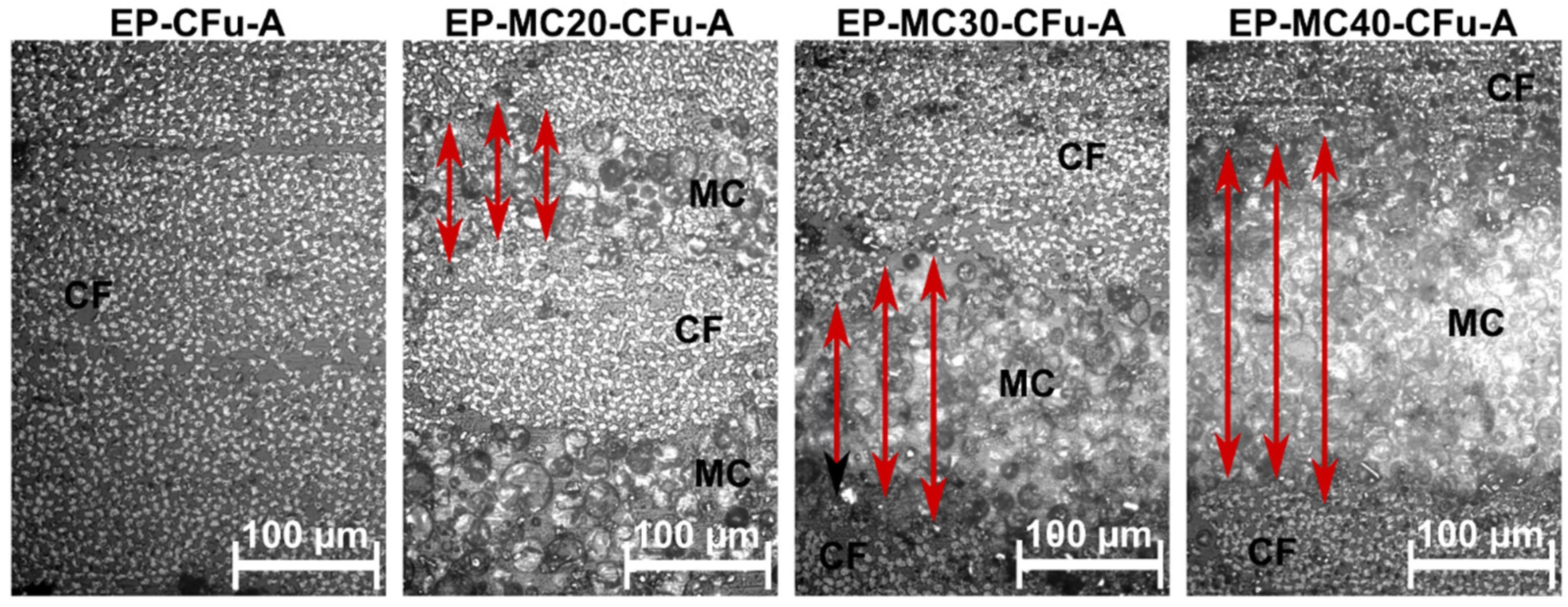 Polymers 13 03108 g001