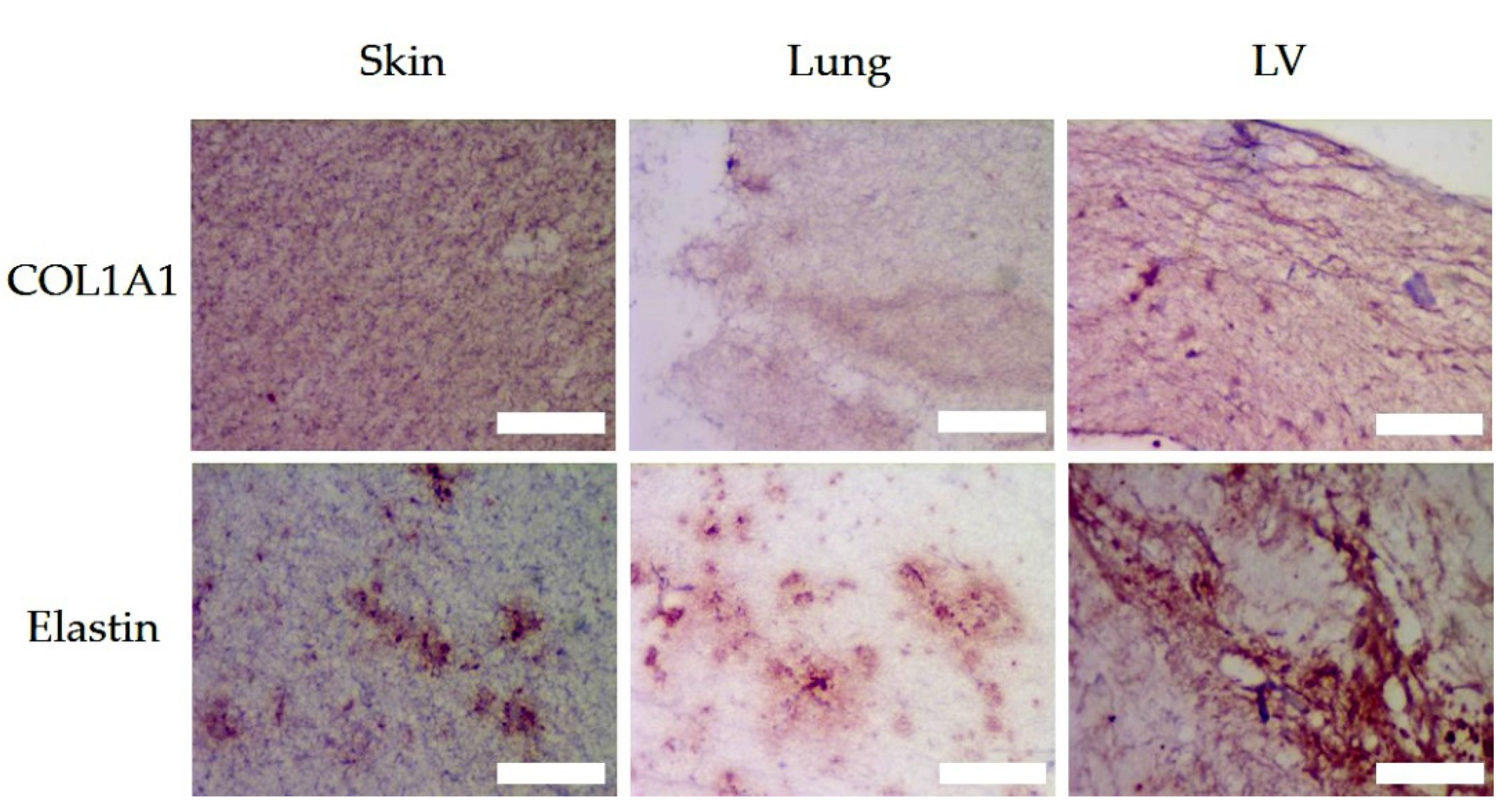 Polymers 13 03113 g007 Polymers 13 03113 g007