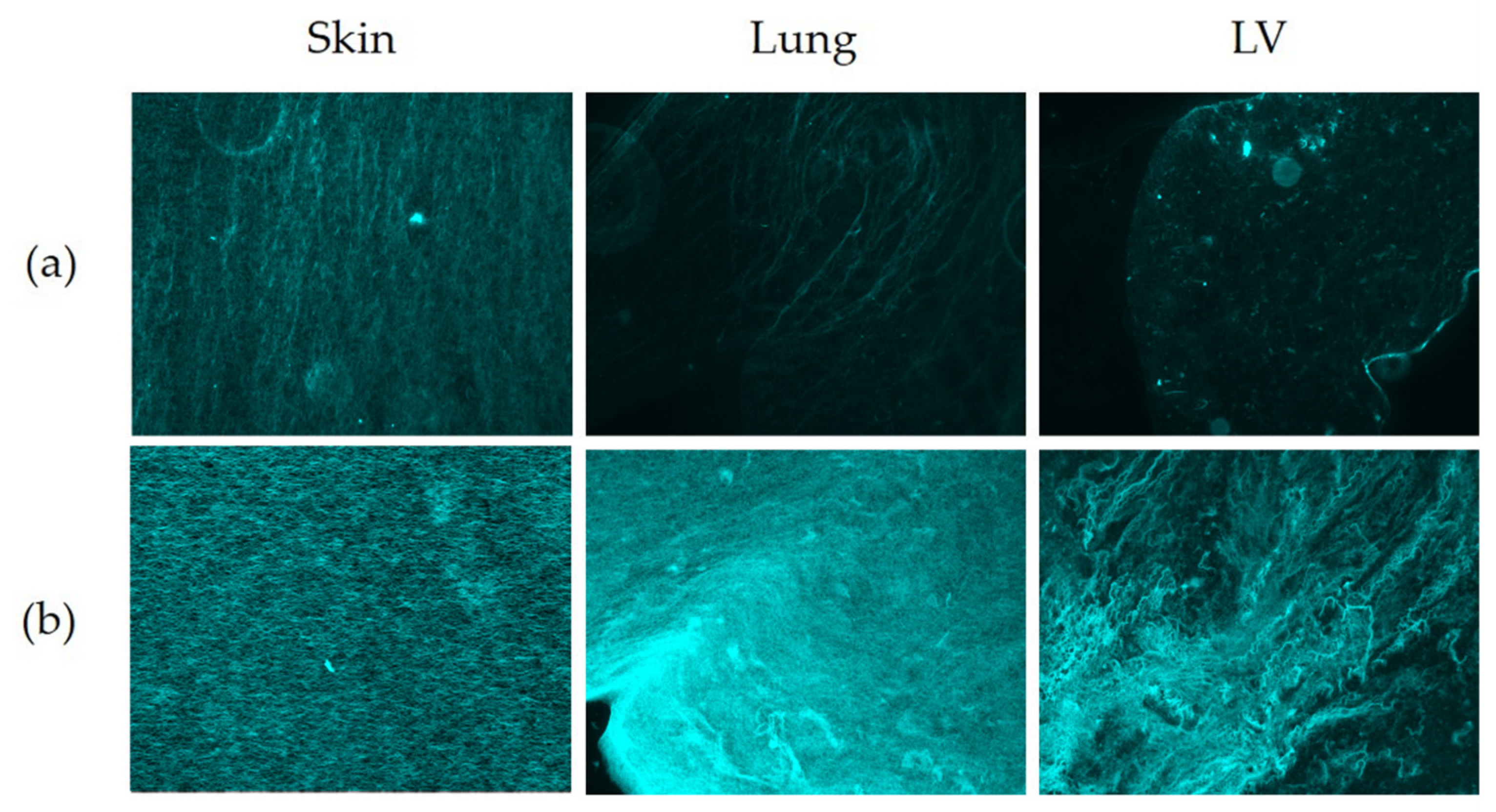 Polymers 13 03113 g008 Polymers 13 03113 g008