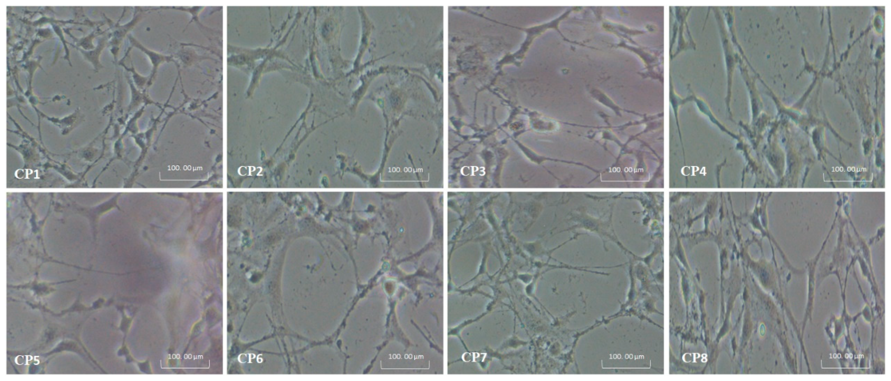 Polymers 13 03124 g011