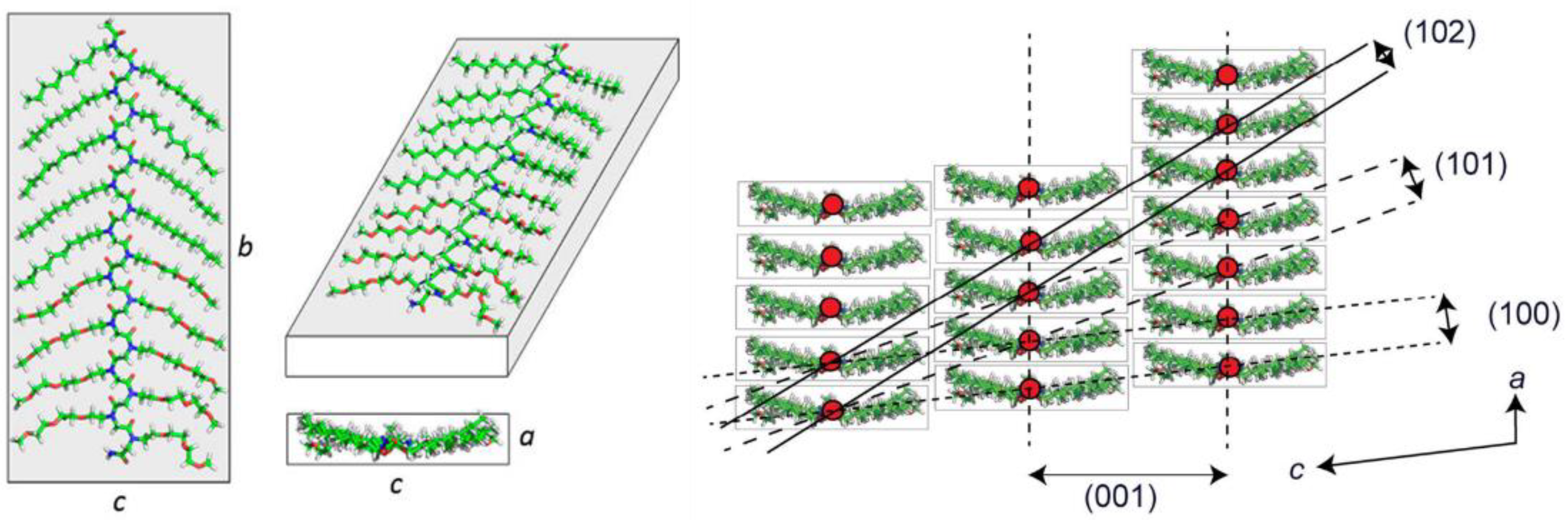 Polymers 13 03131 g002