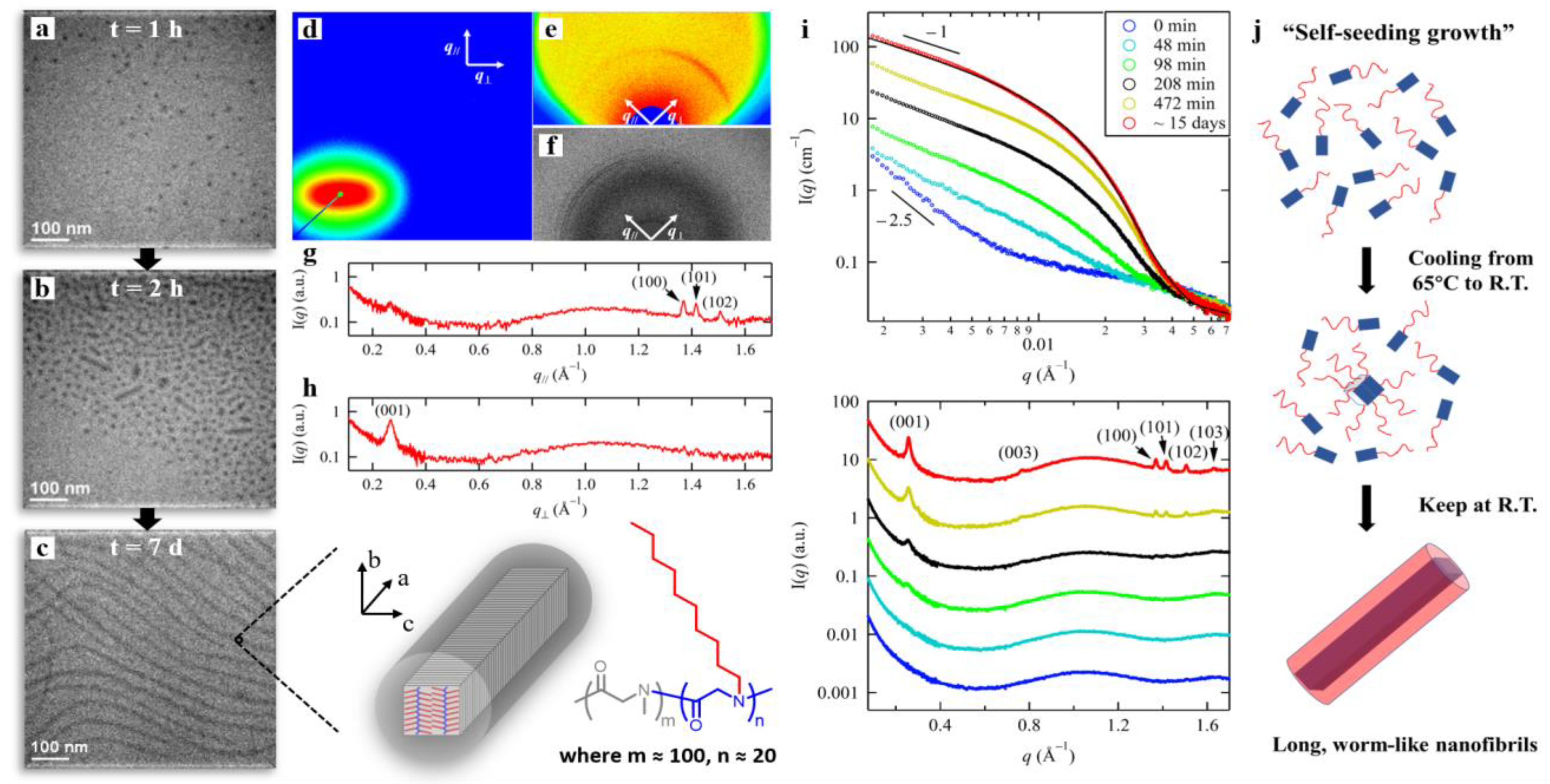 Polymers 13 03131 g005