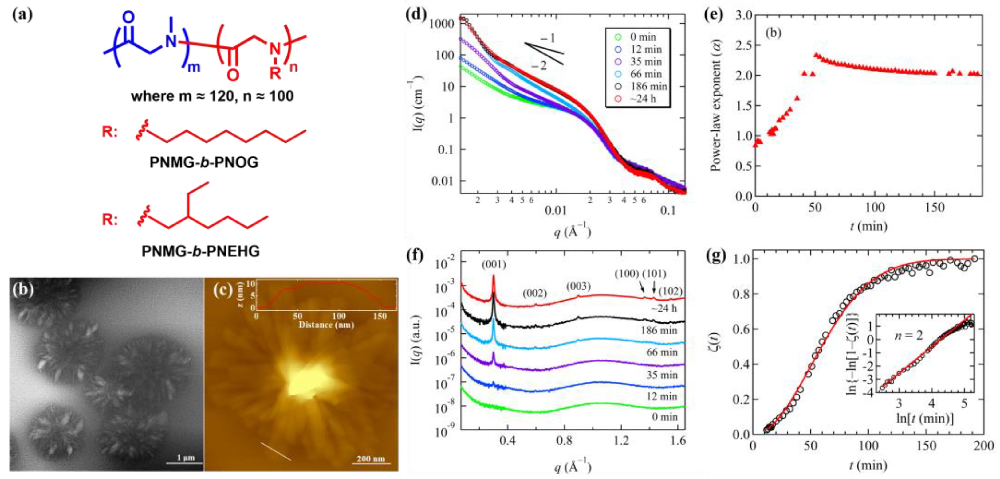 Polymers 13 03131 g007