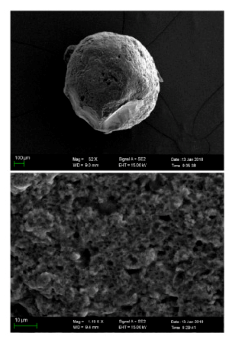 Polymers 13 03137 g002