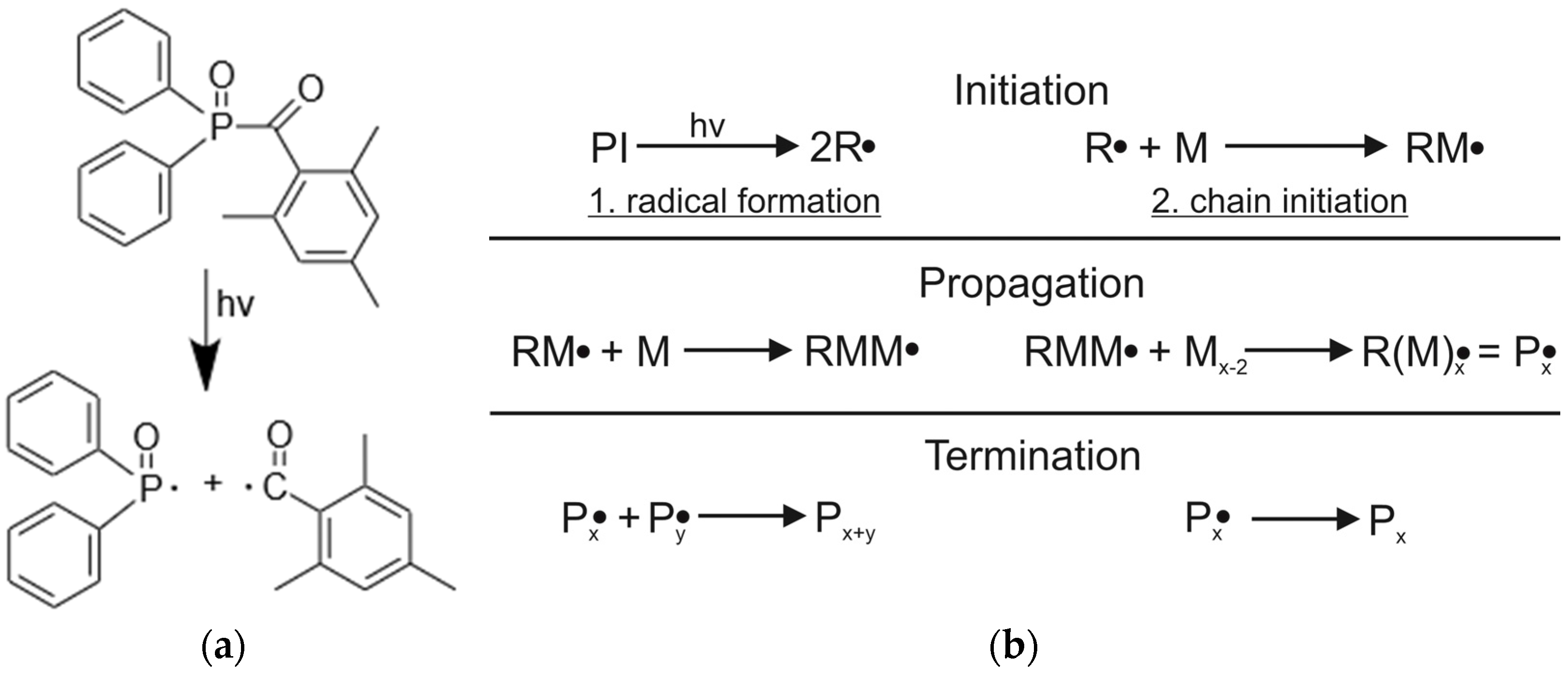 Polymers 13 03139 g003