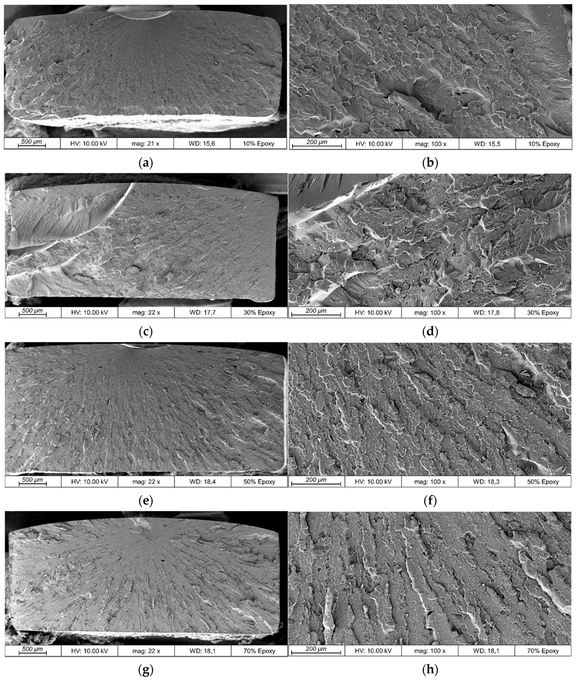 Polymers 13 03139 g008