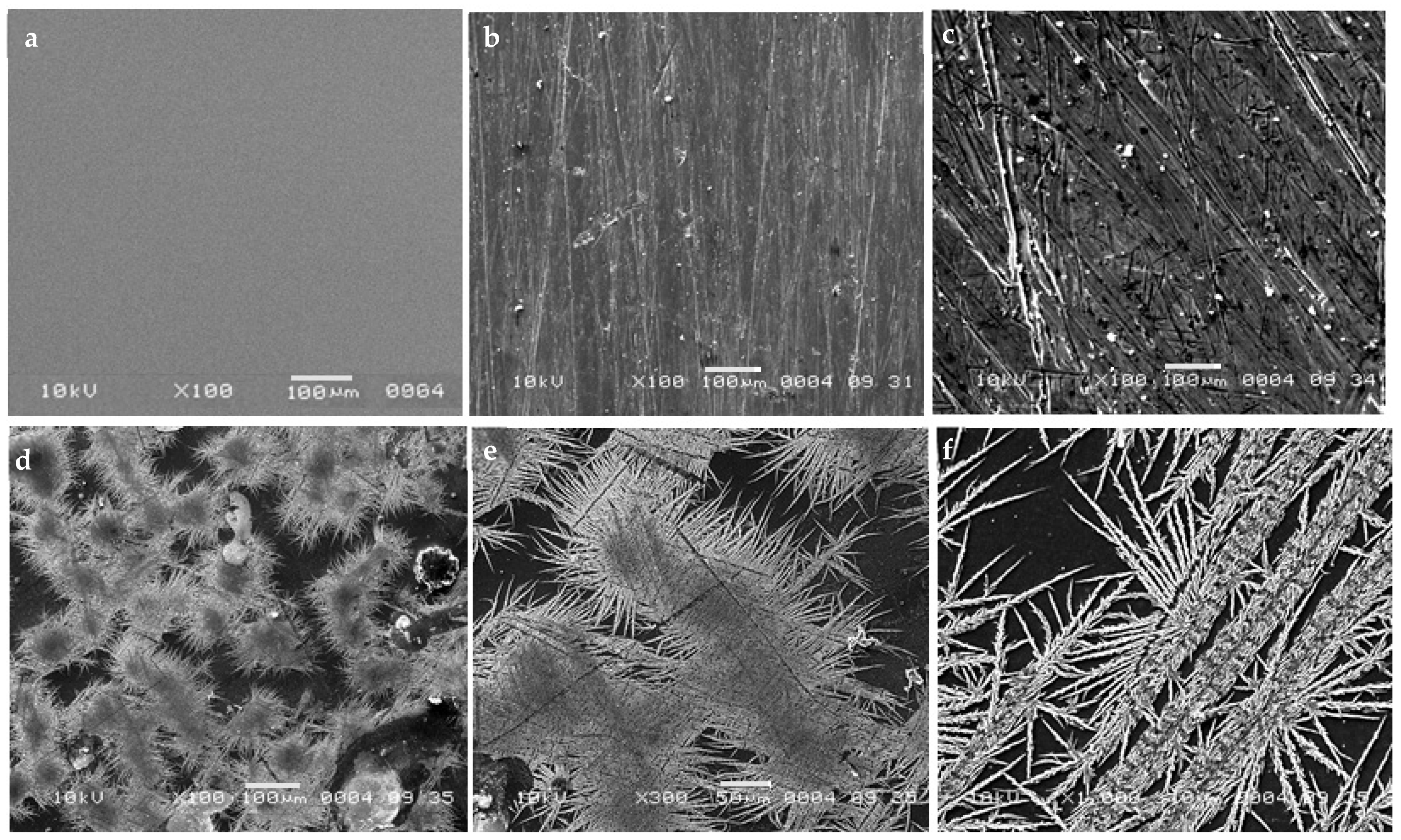 Polymers 13 03140 g007