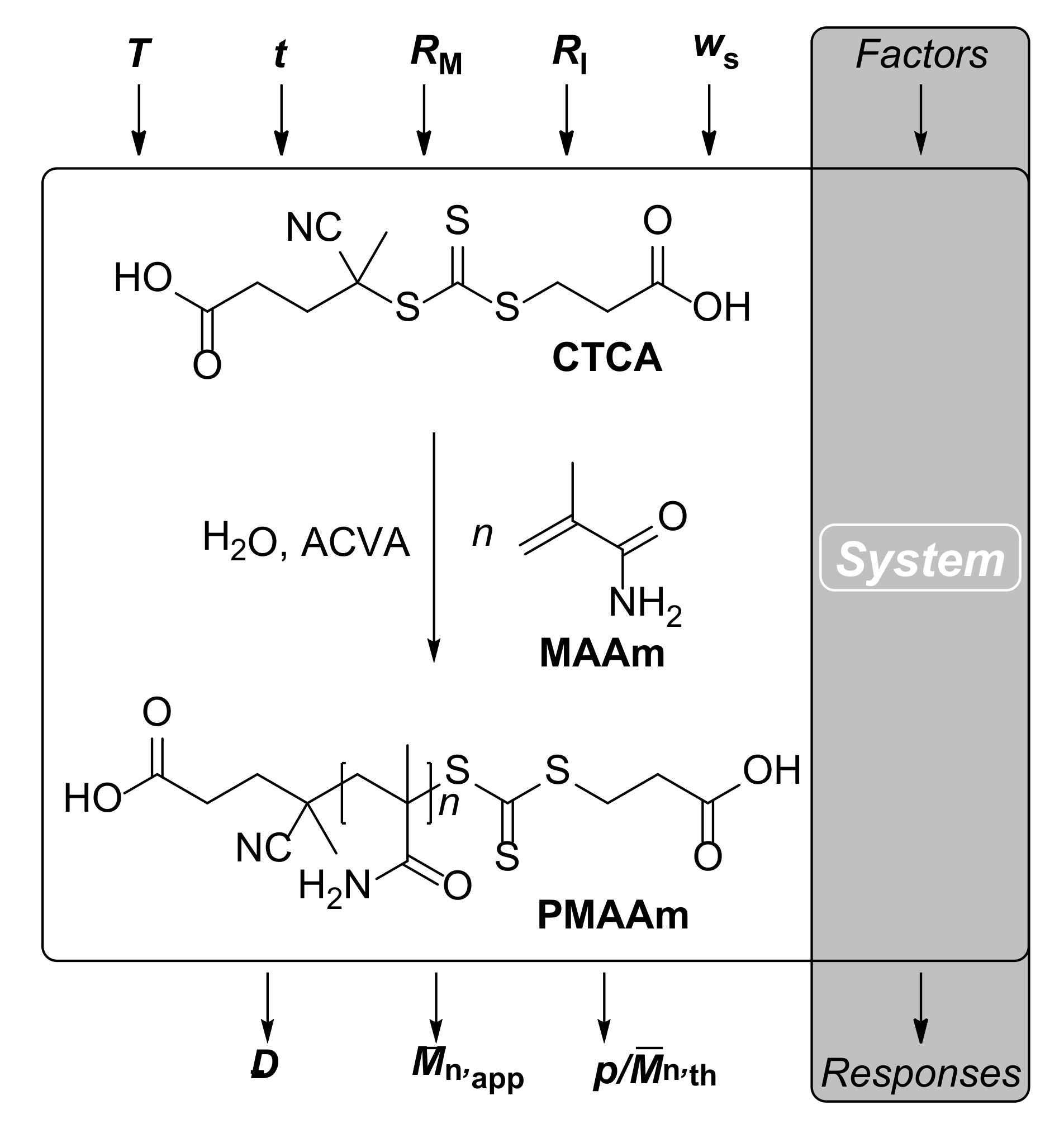 Polymers 13 03147 g002