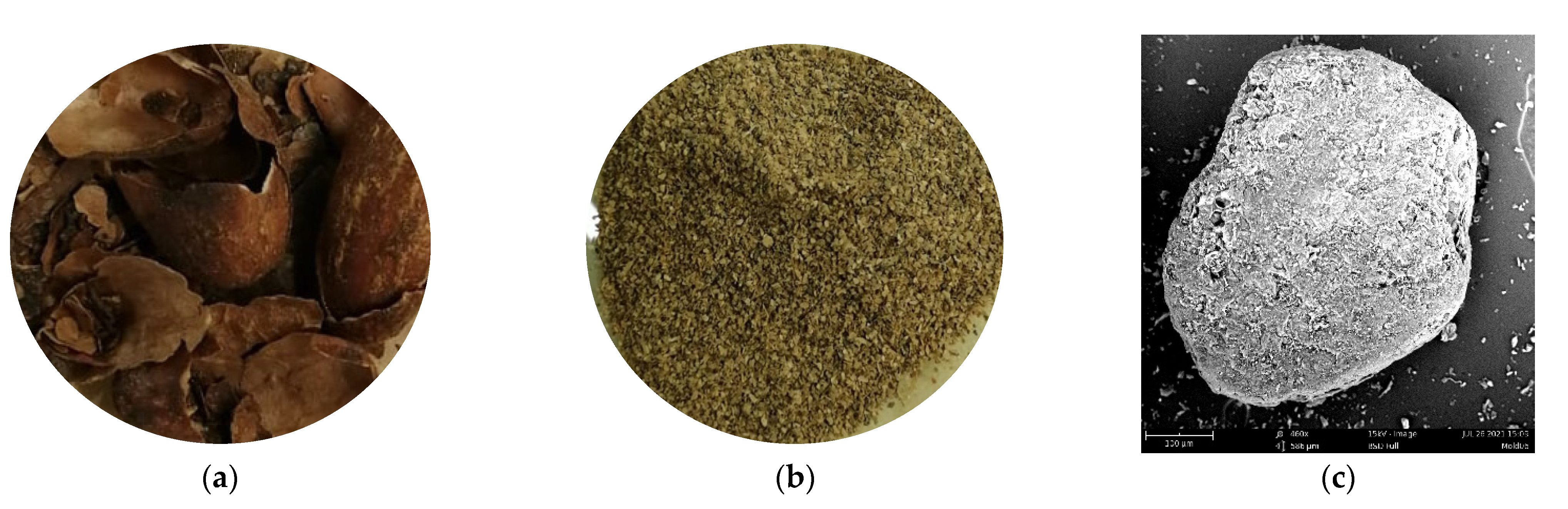 Polymers 13 03162 g001