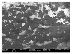 Polymers 13 03165 i044