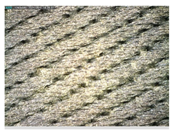 Polymers 13 03165 i051