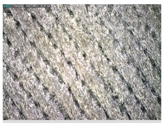 Polymers 13 03165 i057