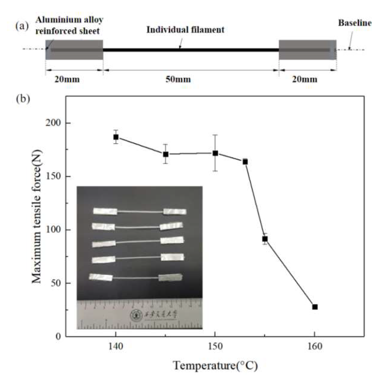 Polymers 13 03176 g003