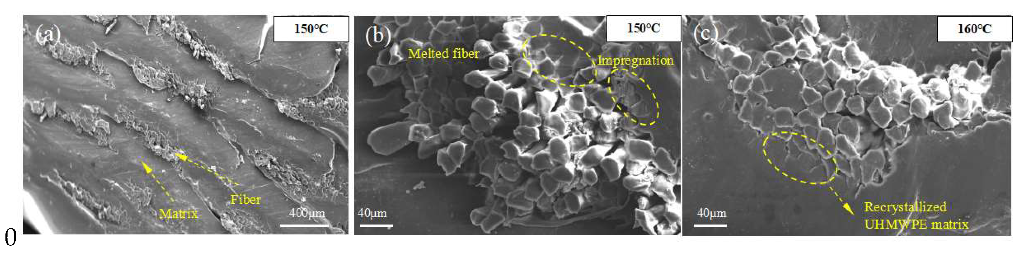 Polymers 13 03176 g007