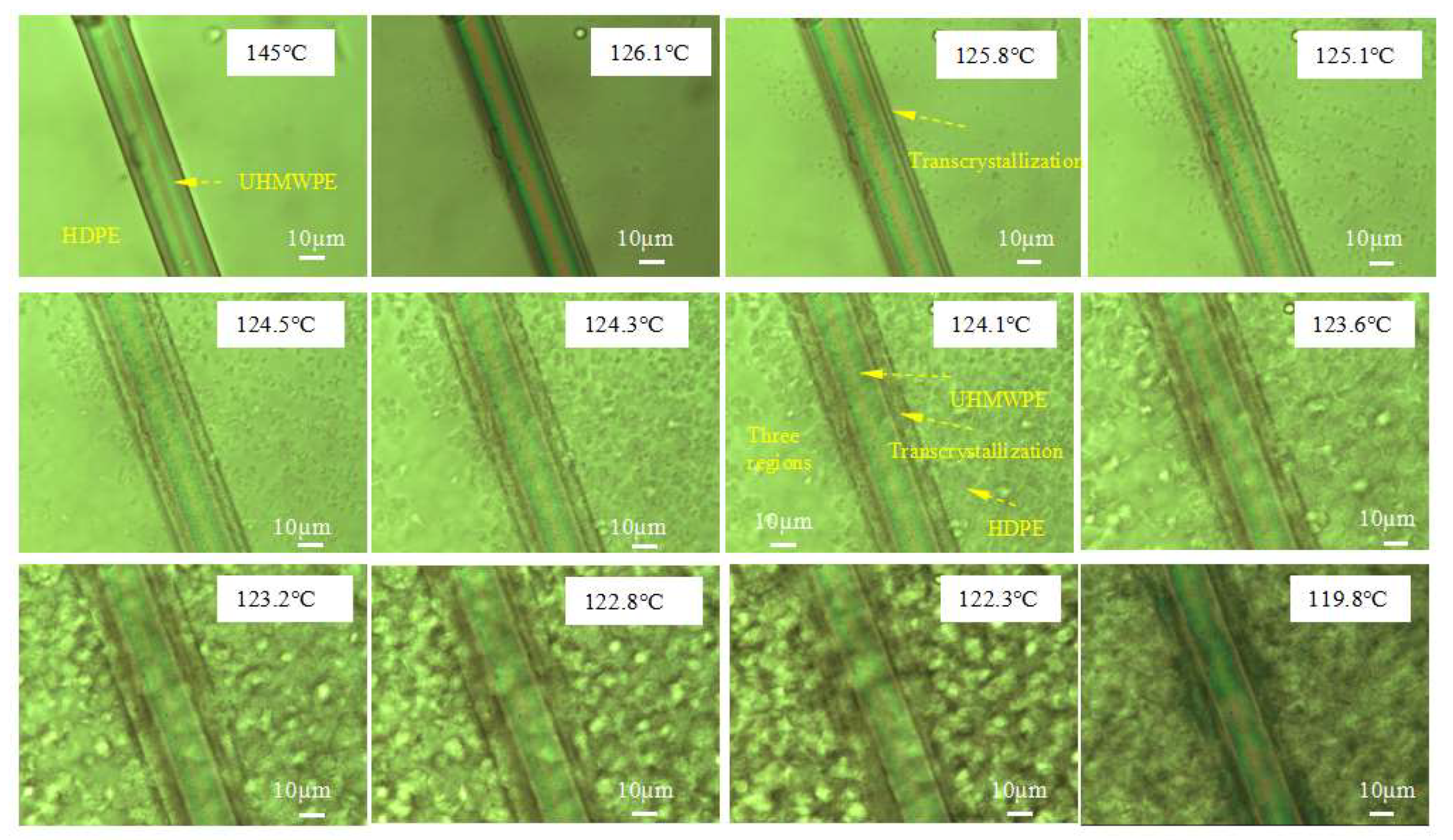 Polymers 13 03176 g009