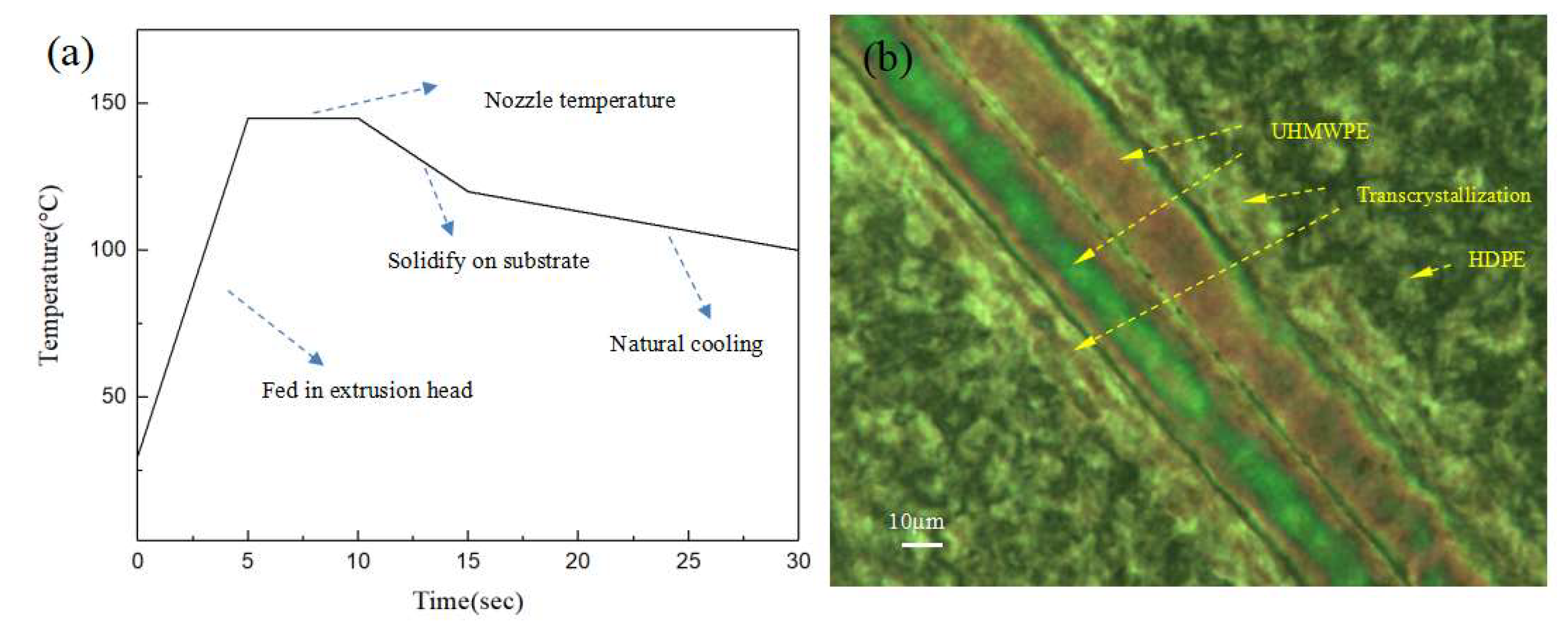 Polymers 13 03176 g010