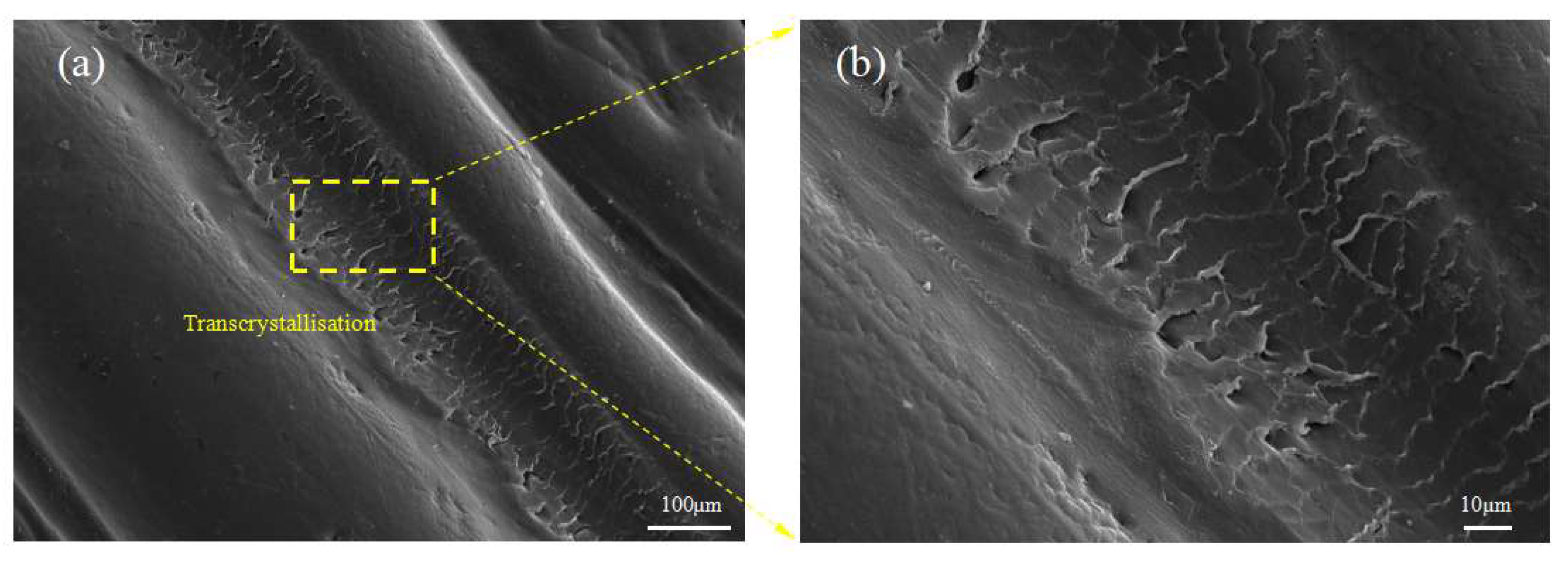 Polymers 13 03176 g011