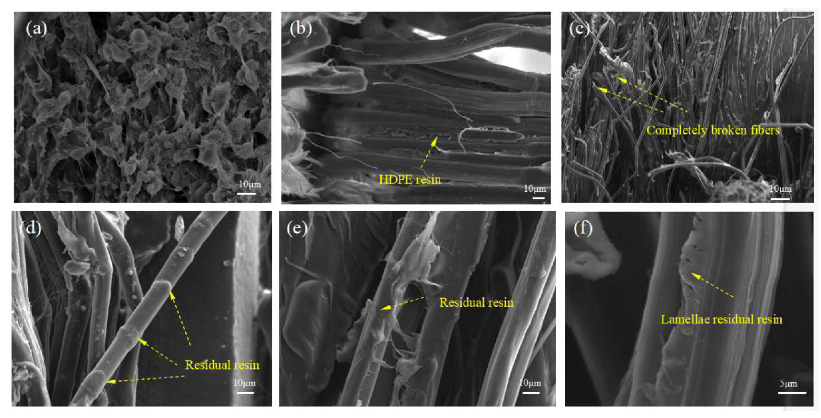Polymers 13 03176 g012