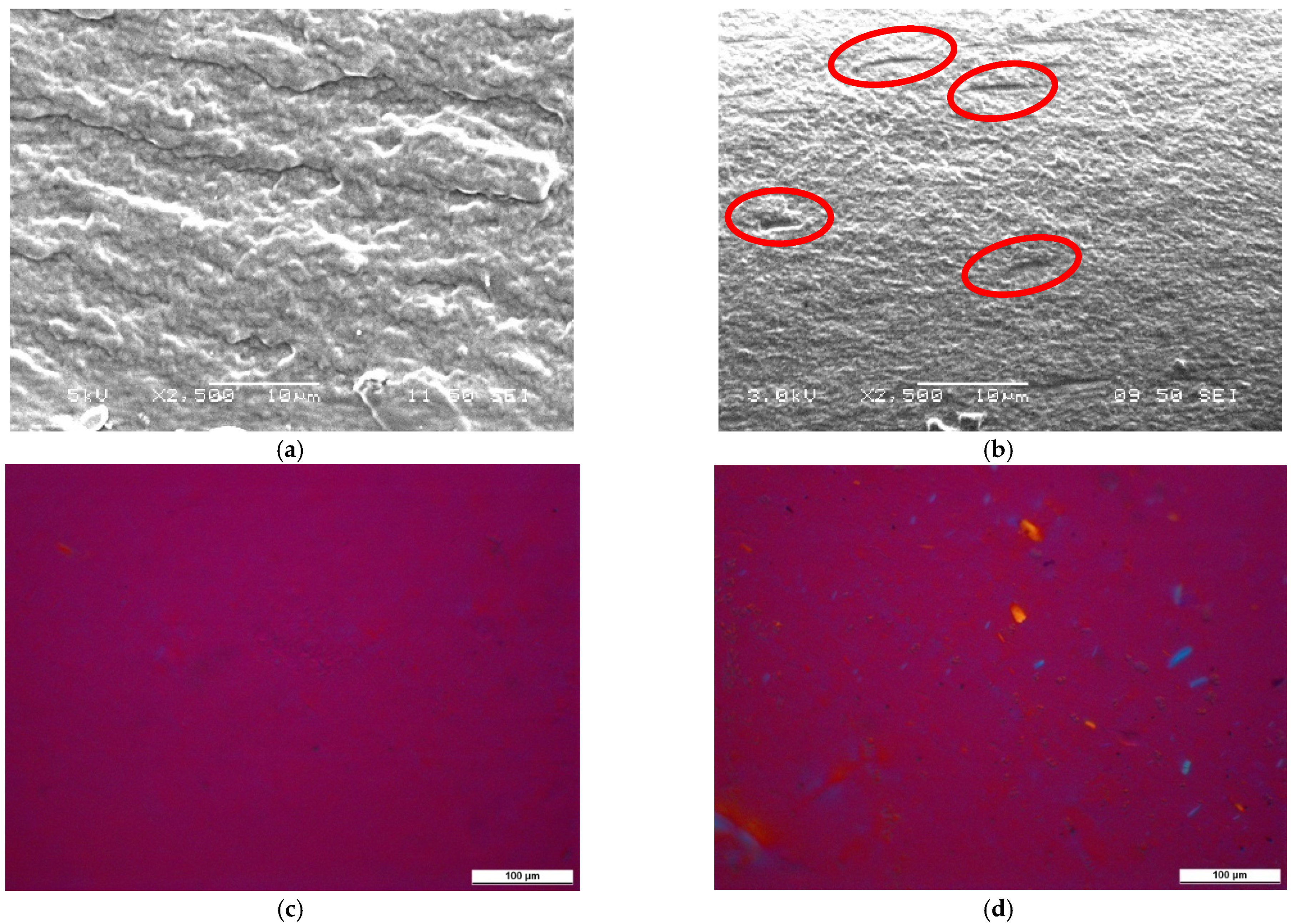 Polymers 13 03186 g004