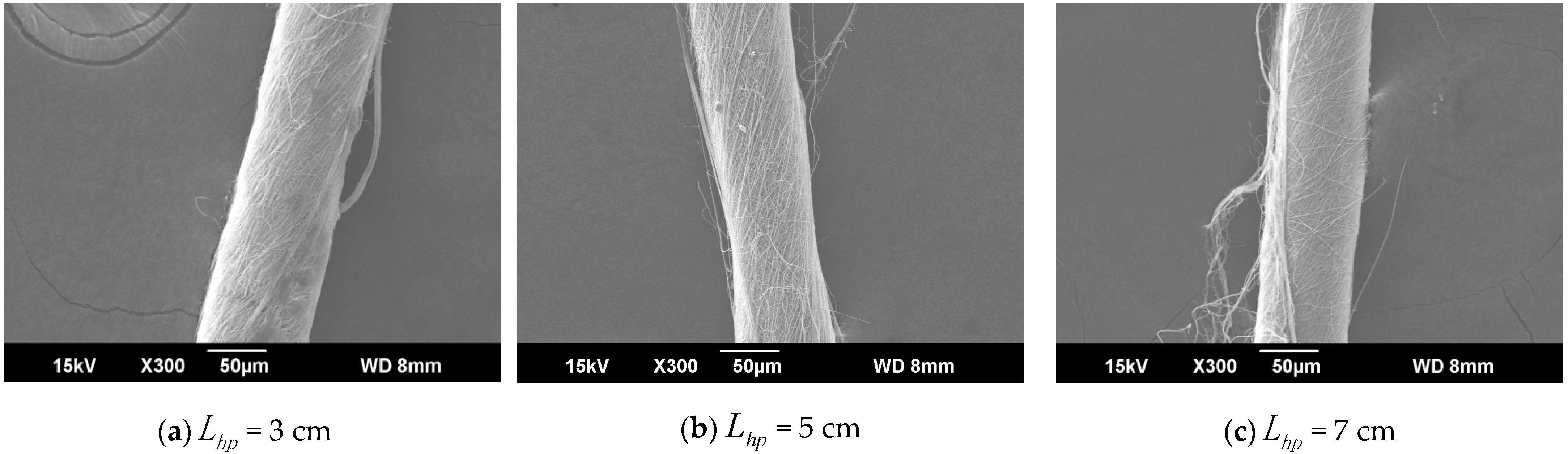 Polymers 13 03189 g005